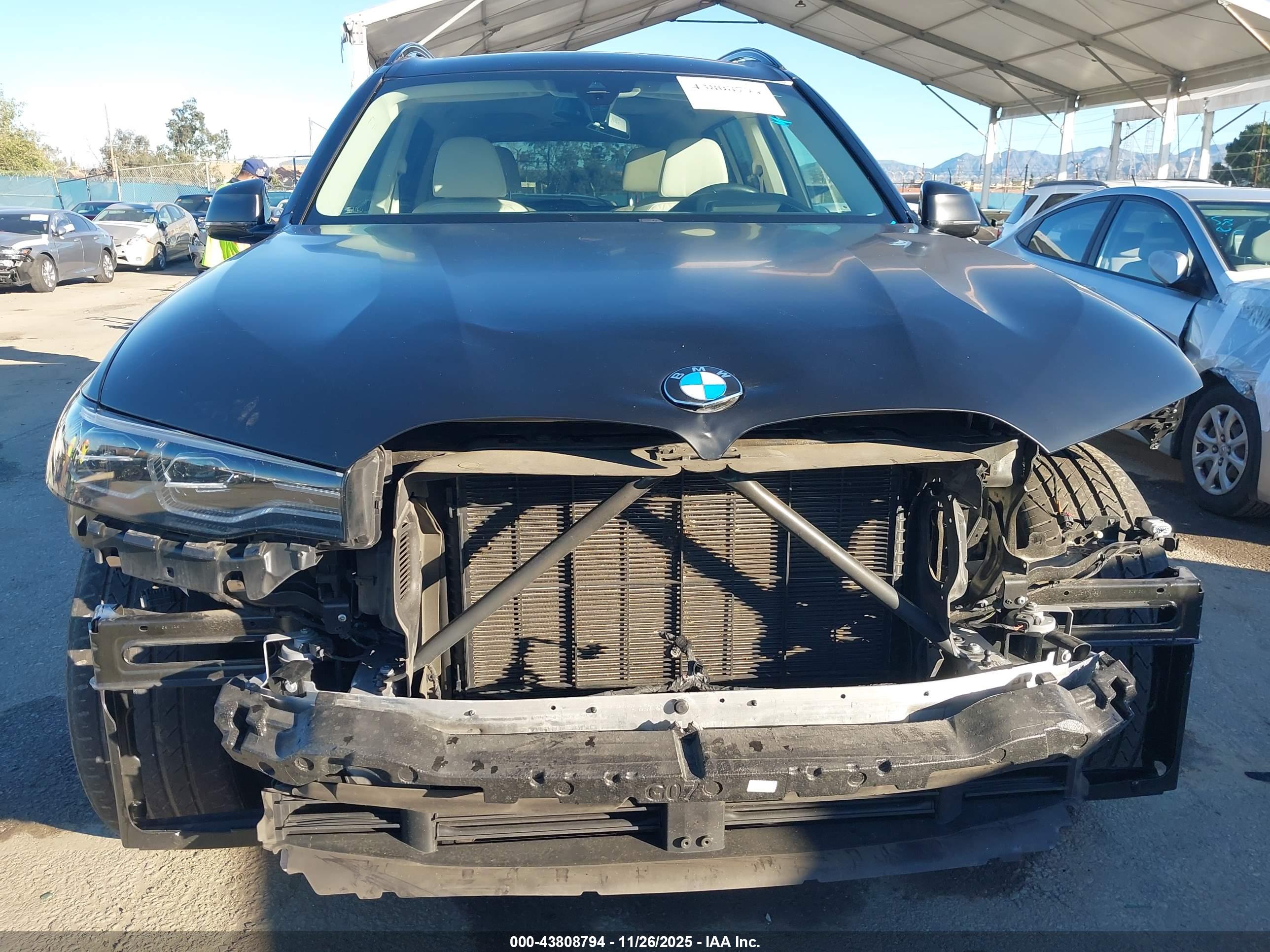 BMW X7 image 6