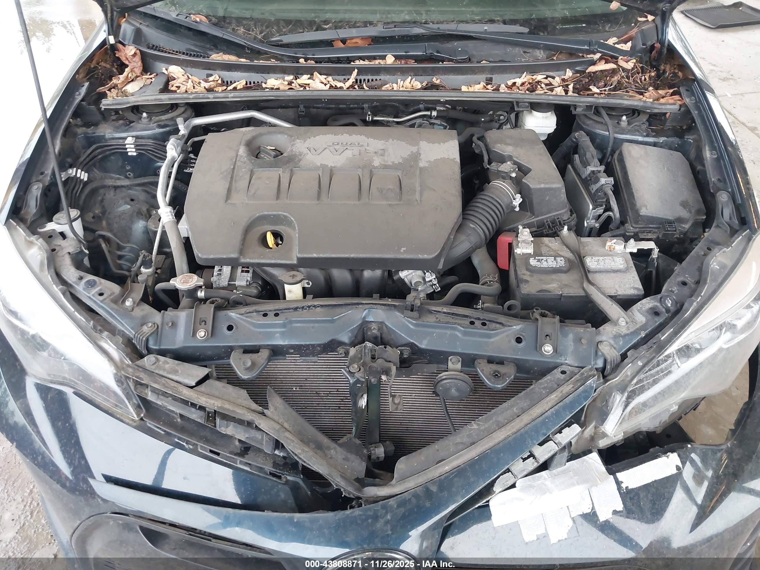 TOYOTA COROLLA image 10