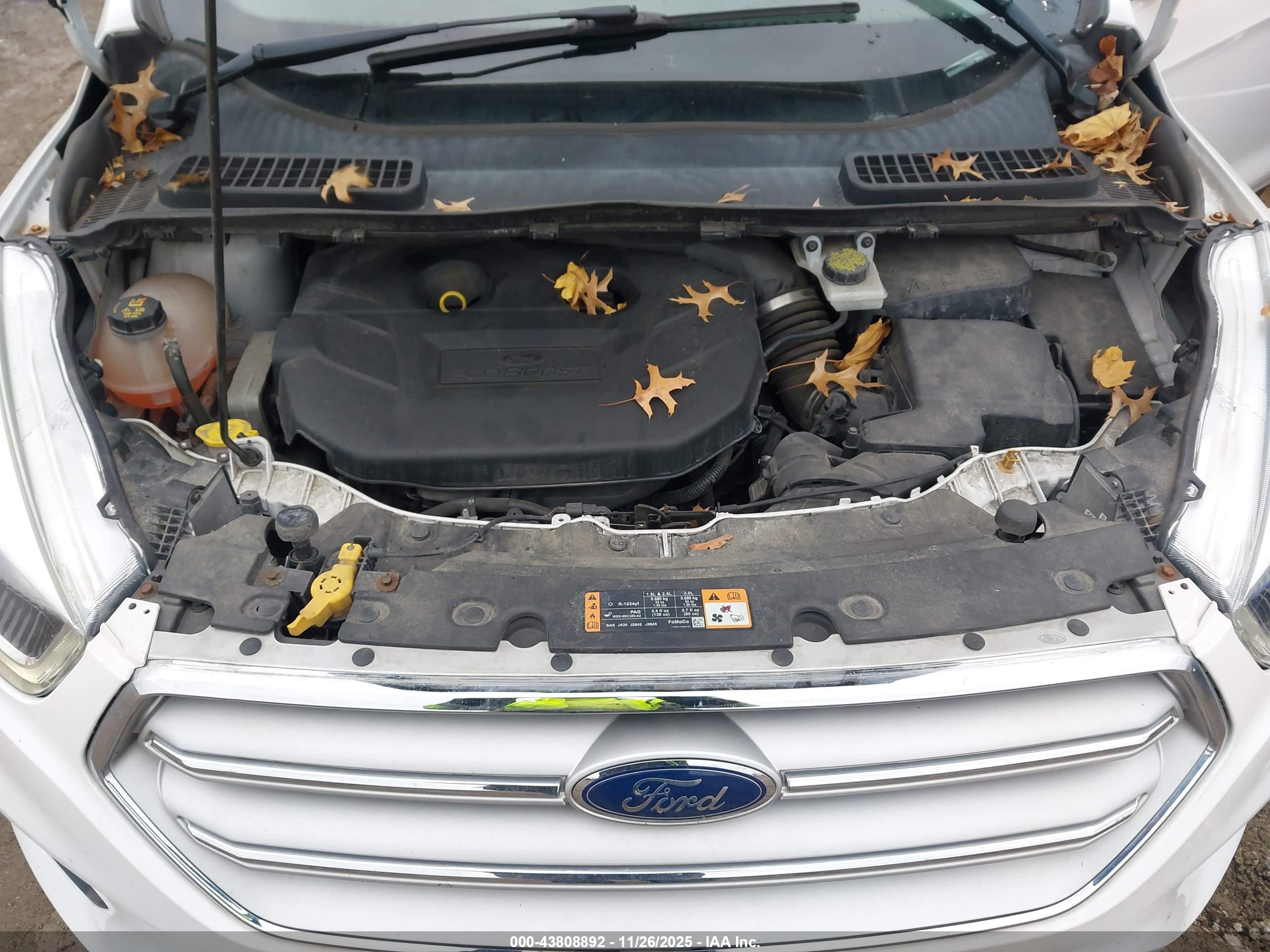 FORD ESCAPE image 10