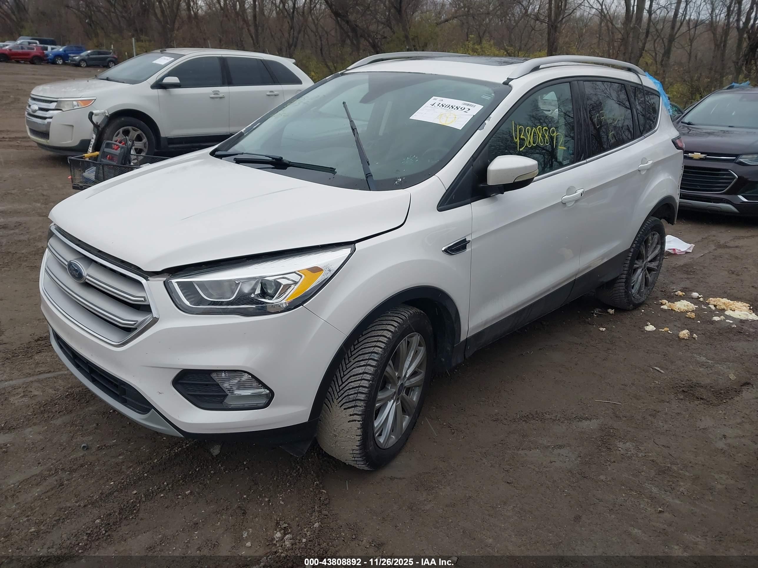 FORD ESCAPE image 2