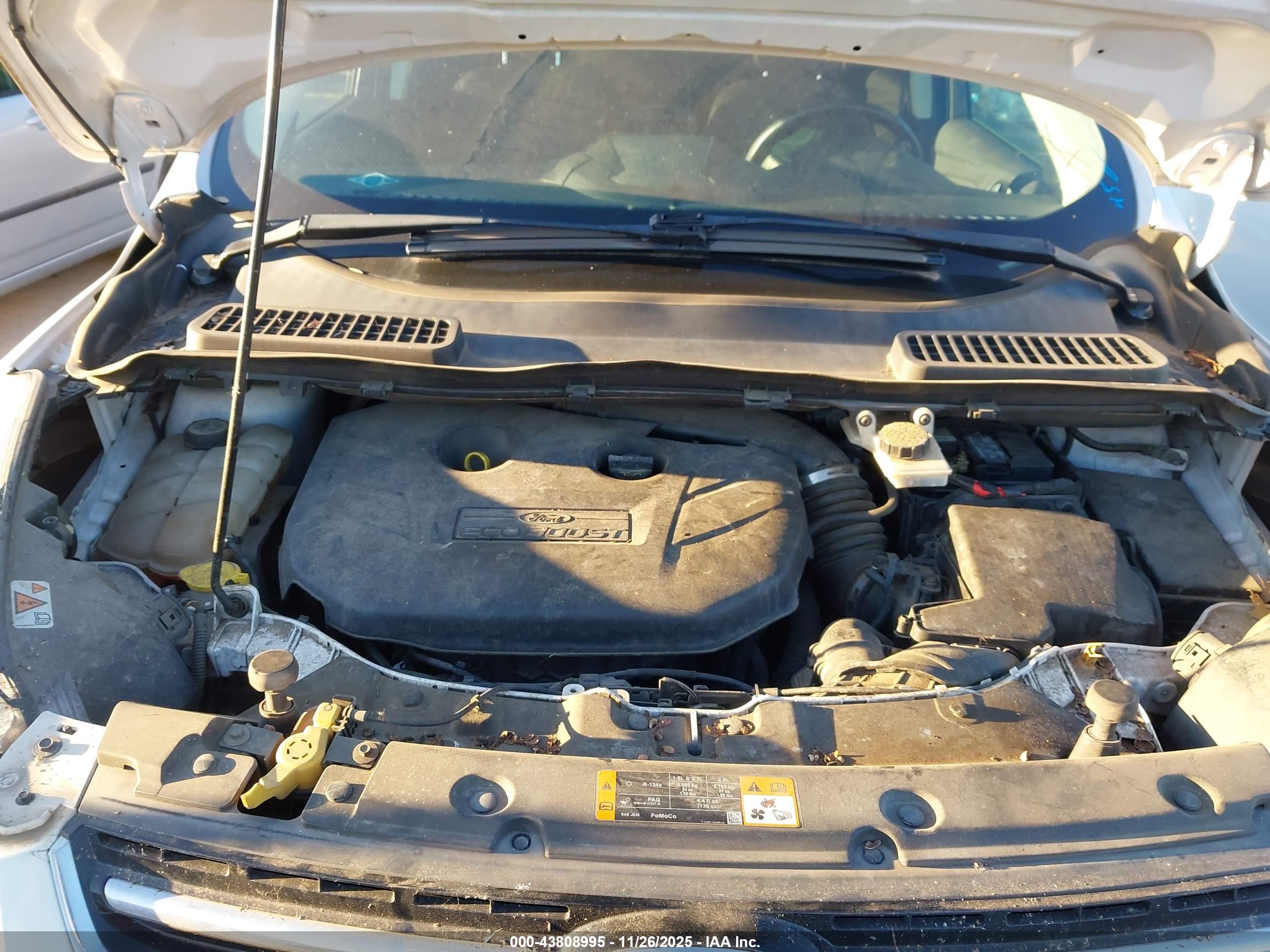 FORD ESCAPE image 10