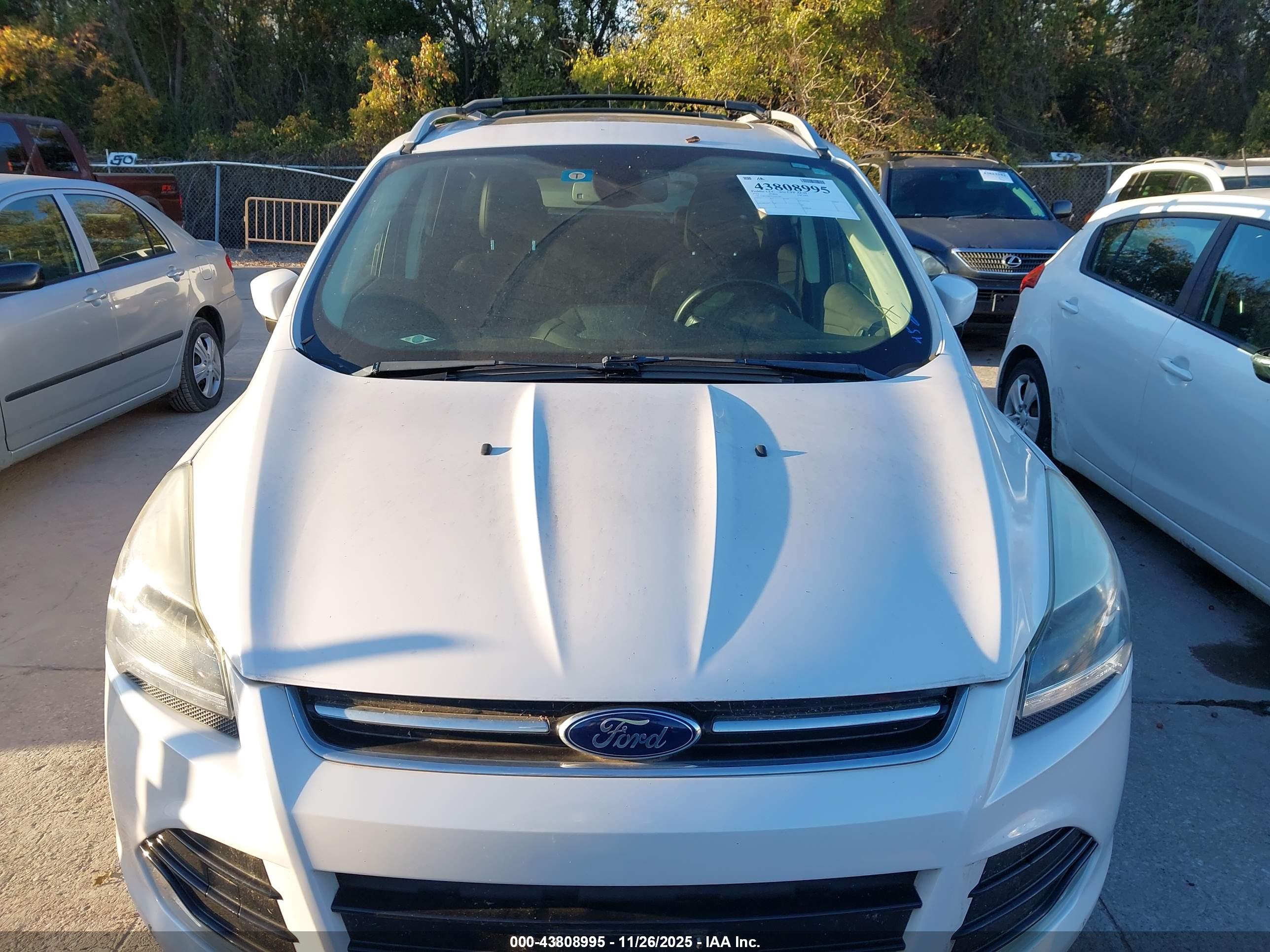 FORD ESCAPE image 6