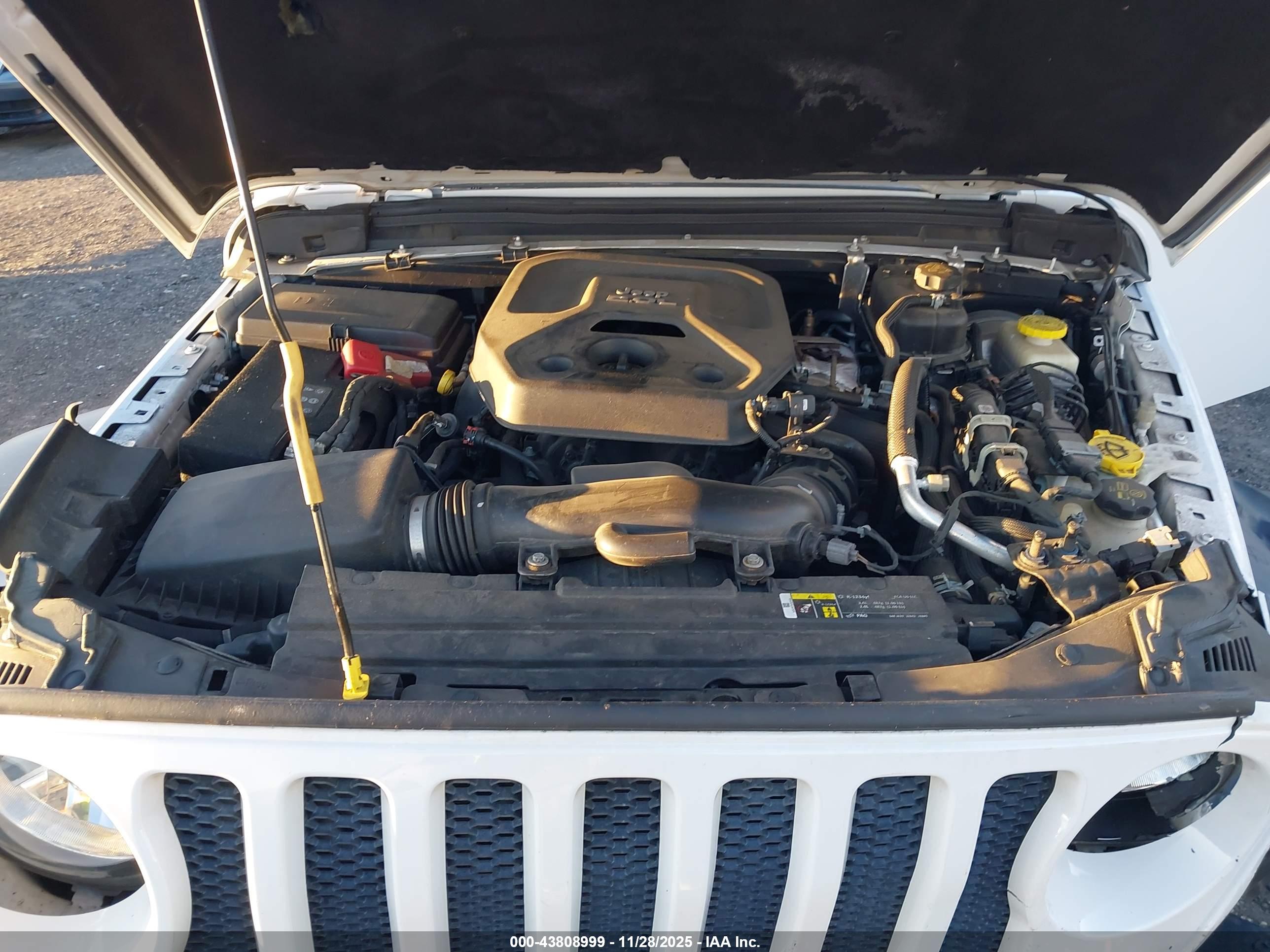 JEEP WRANGLER image 10