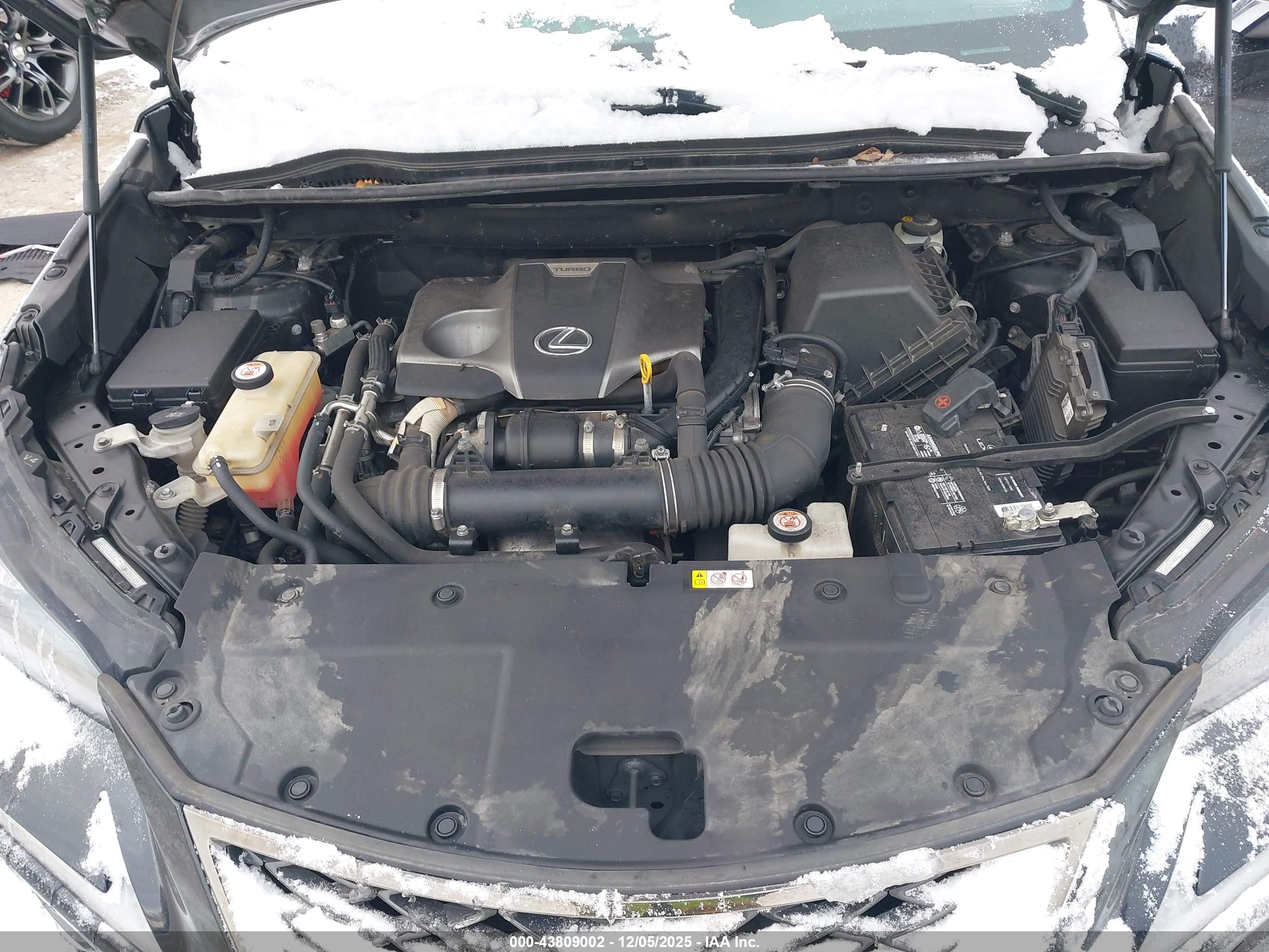 LEXUS NX image 10