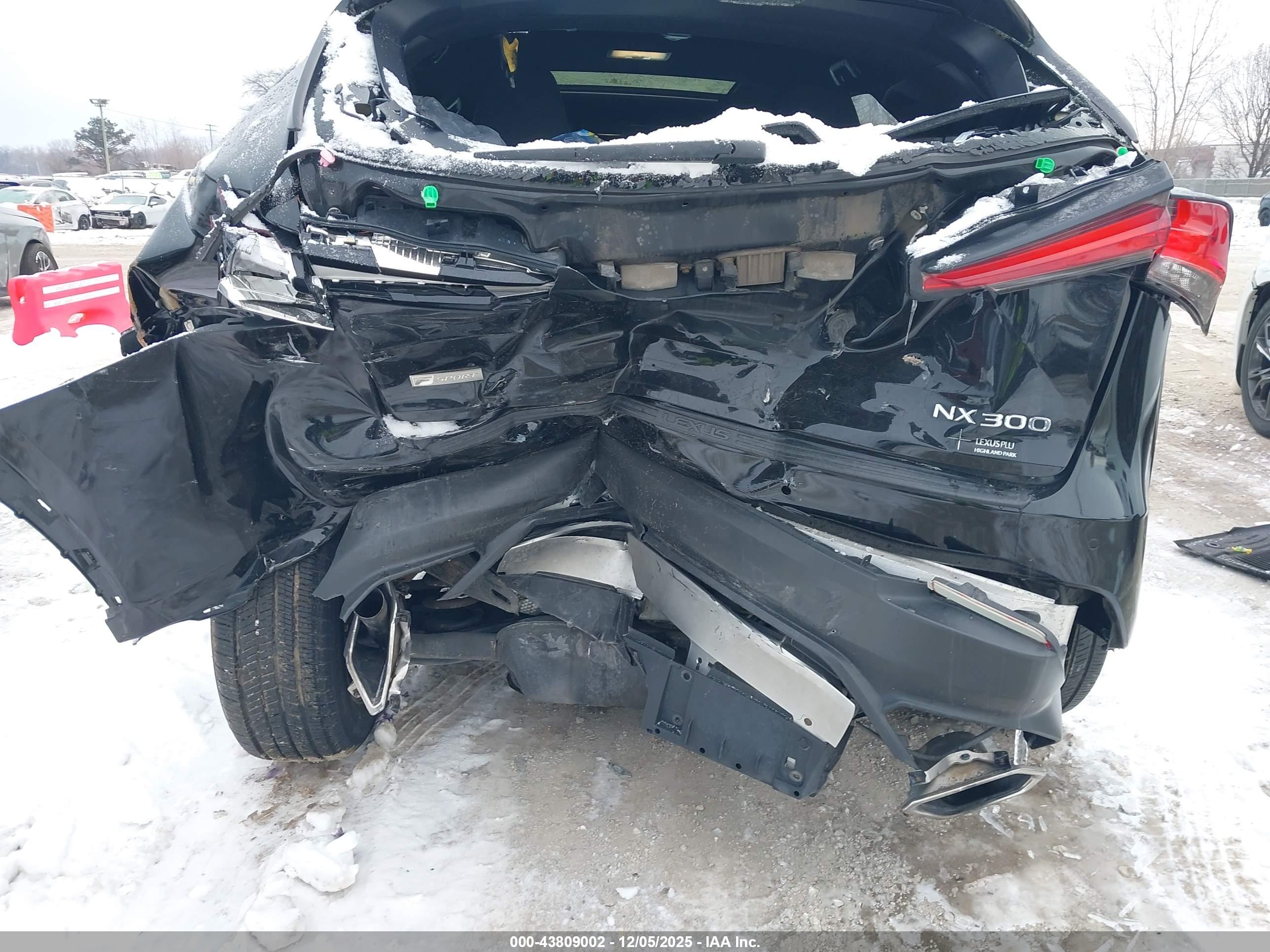 LEXUS NX image 6