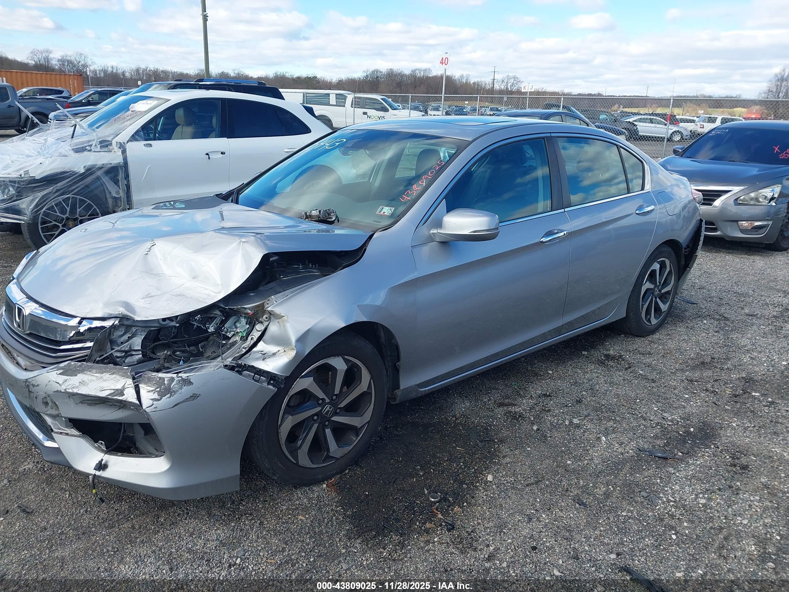 HONDA ACCORD image 2