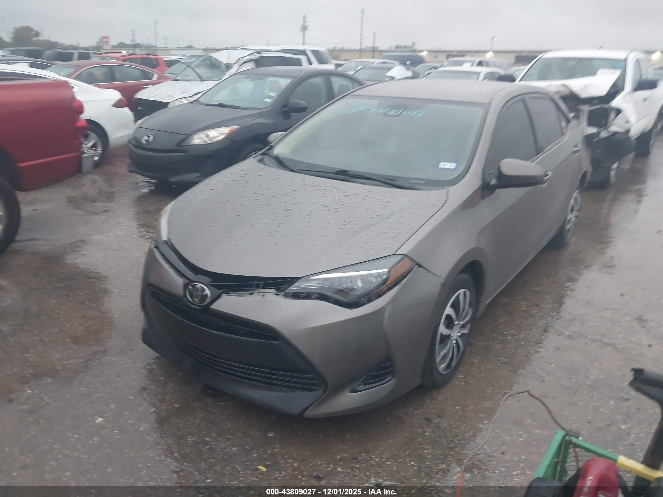 TOYOTA COROLLA image 2