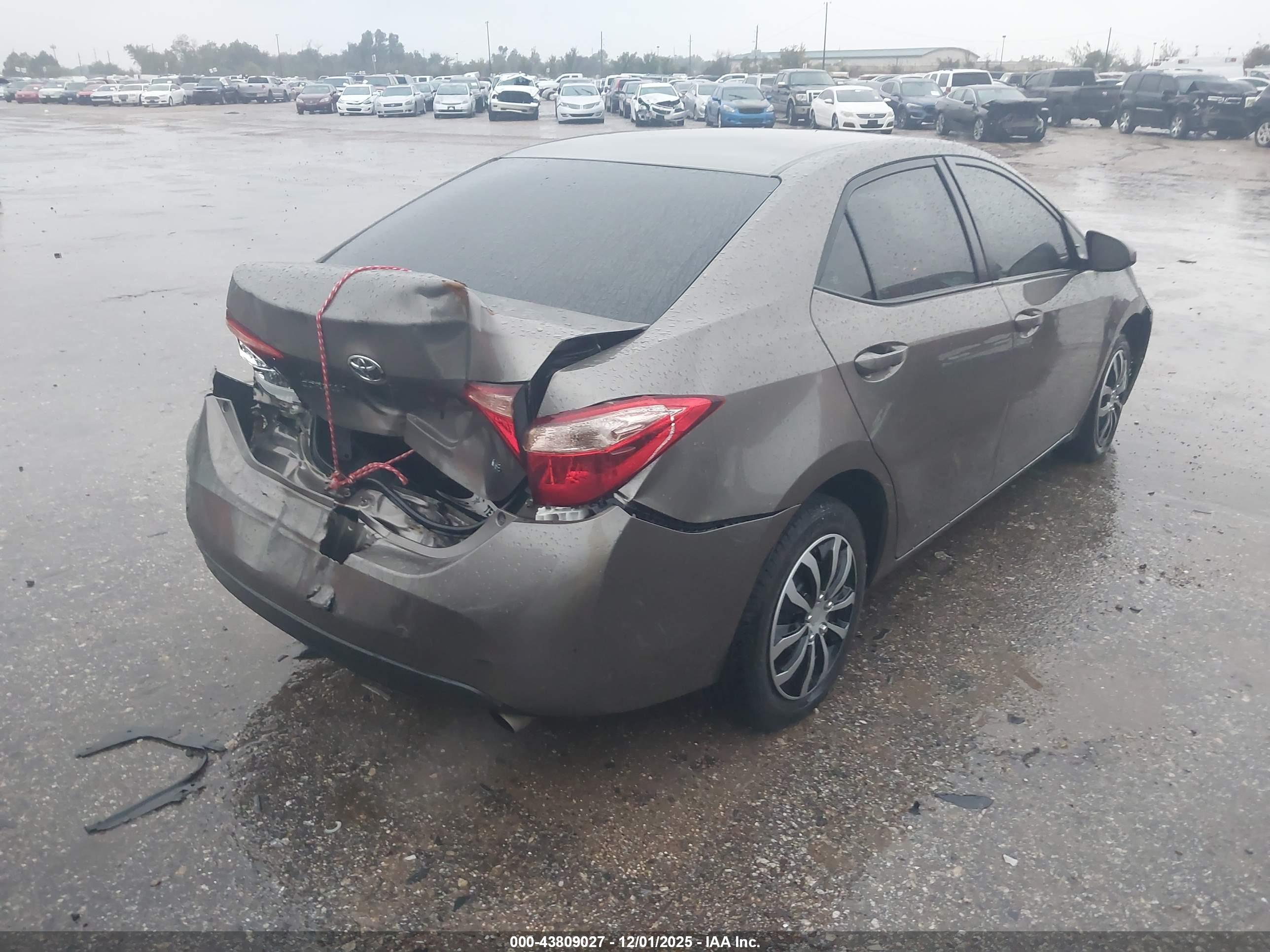 TOYOTA COROLLA image 4