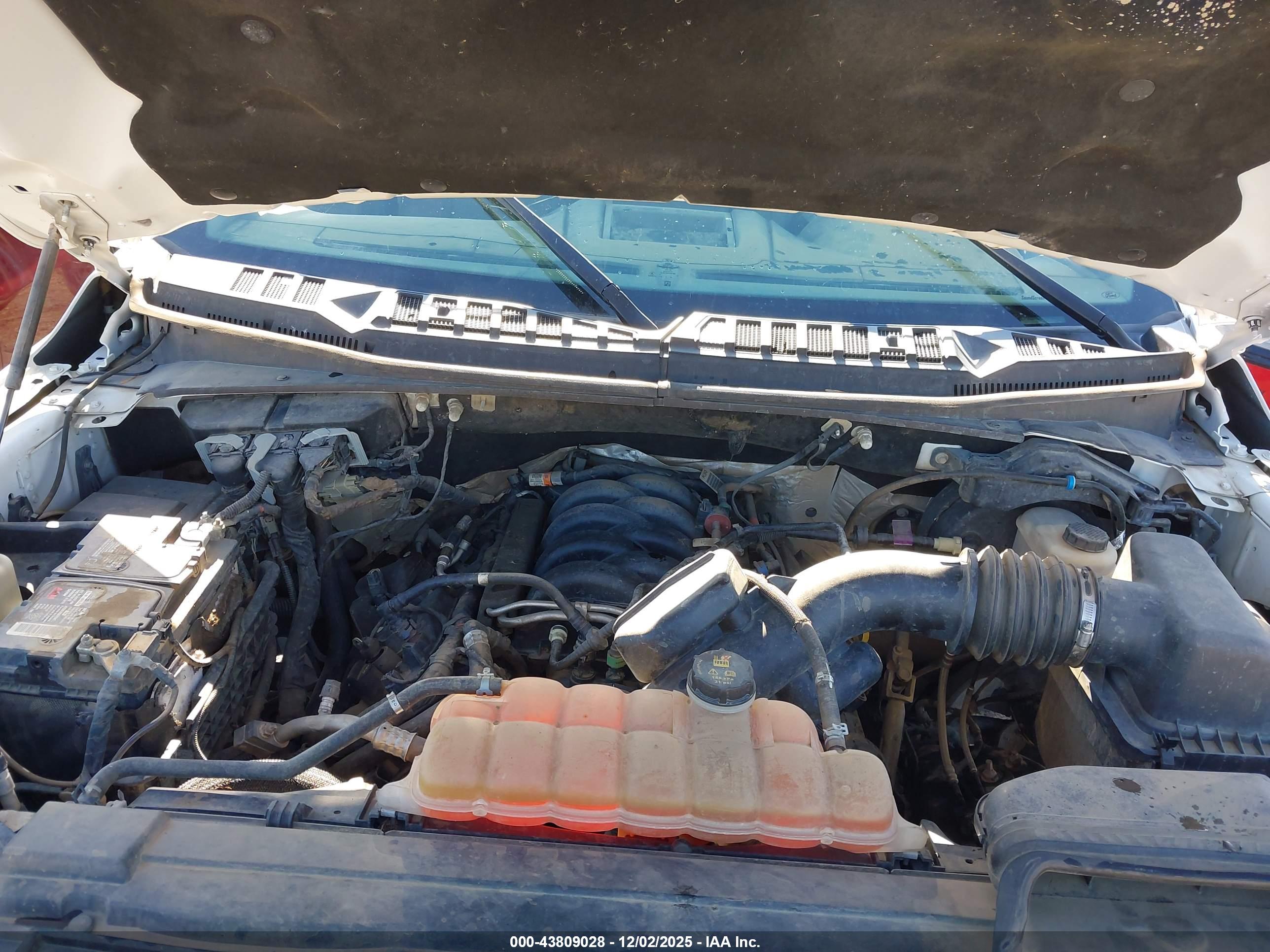 FORD F-150 image 10