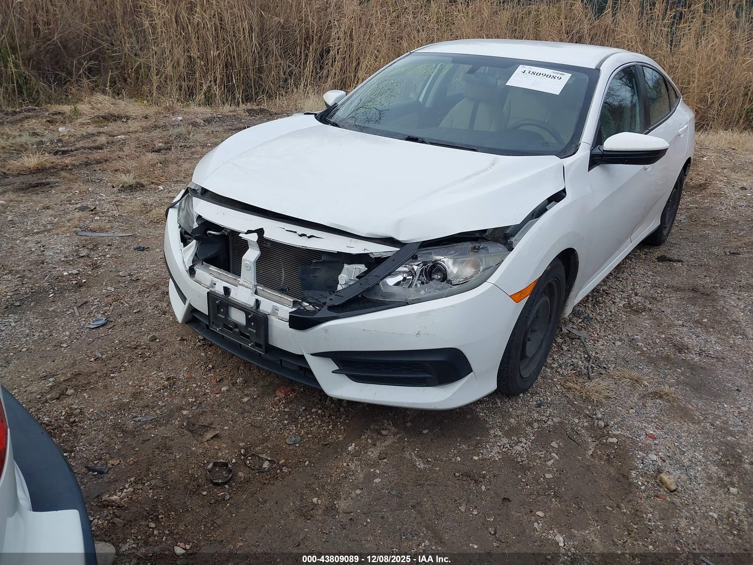 HONDA CIVIC image 6