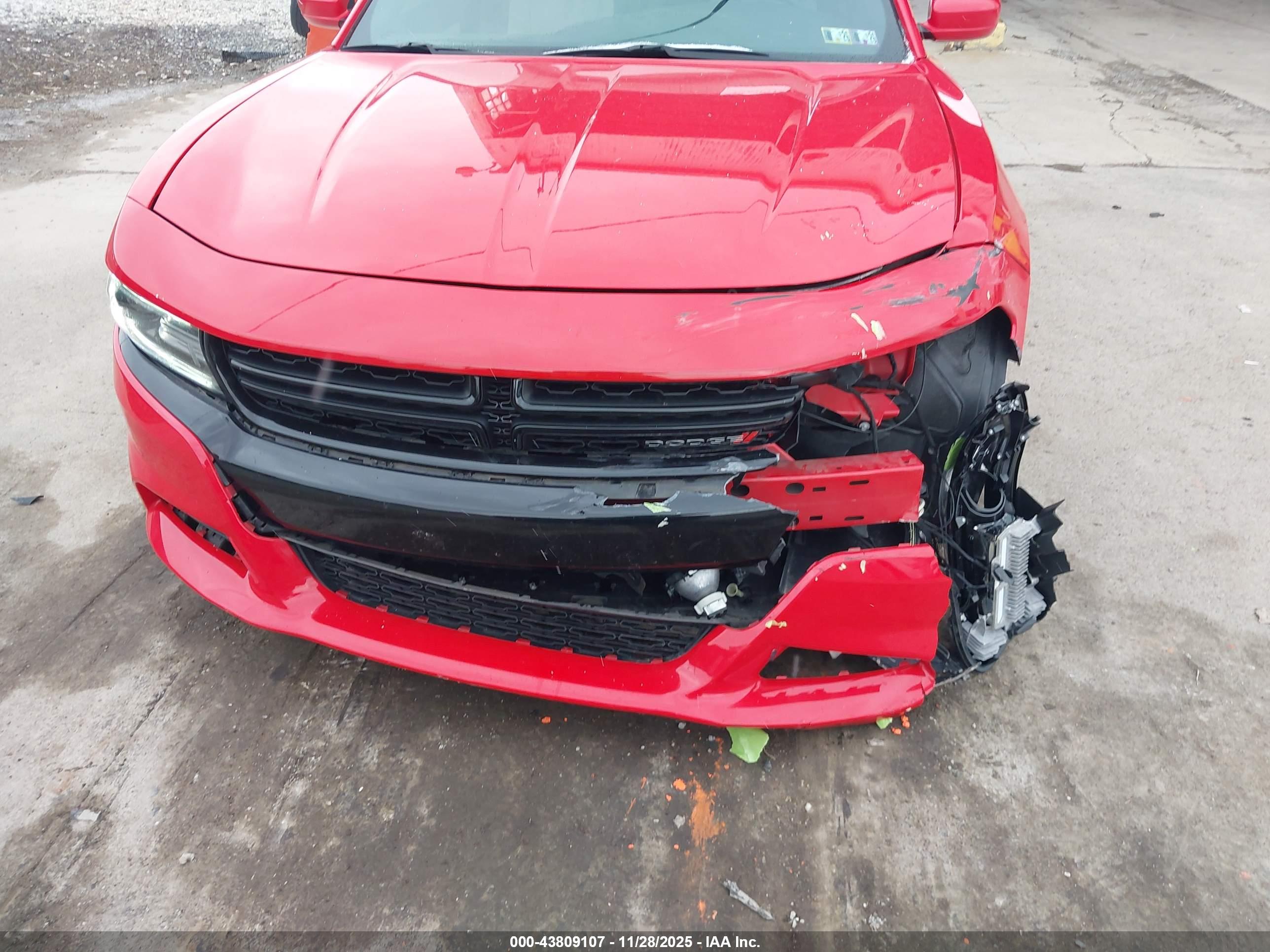 DODGE CHARGER image 6