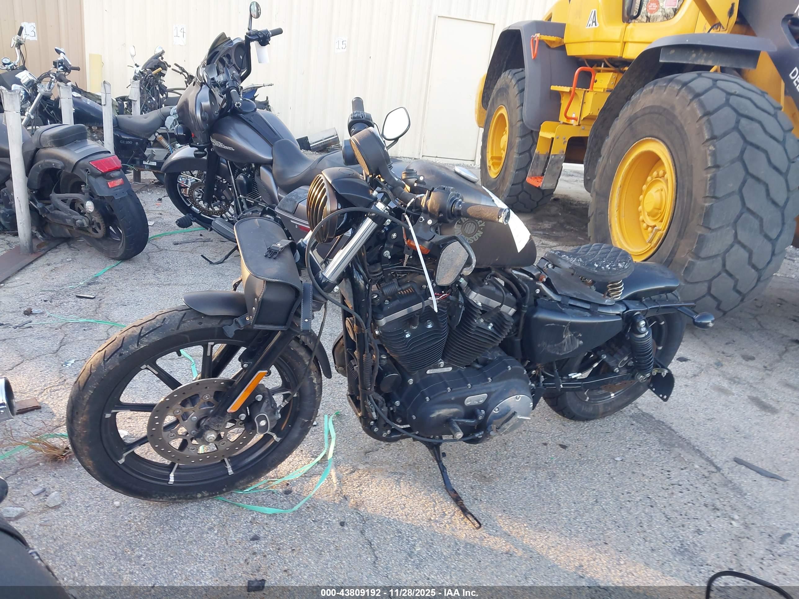 HARLEY-DAVIDSON XL883 image 2