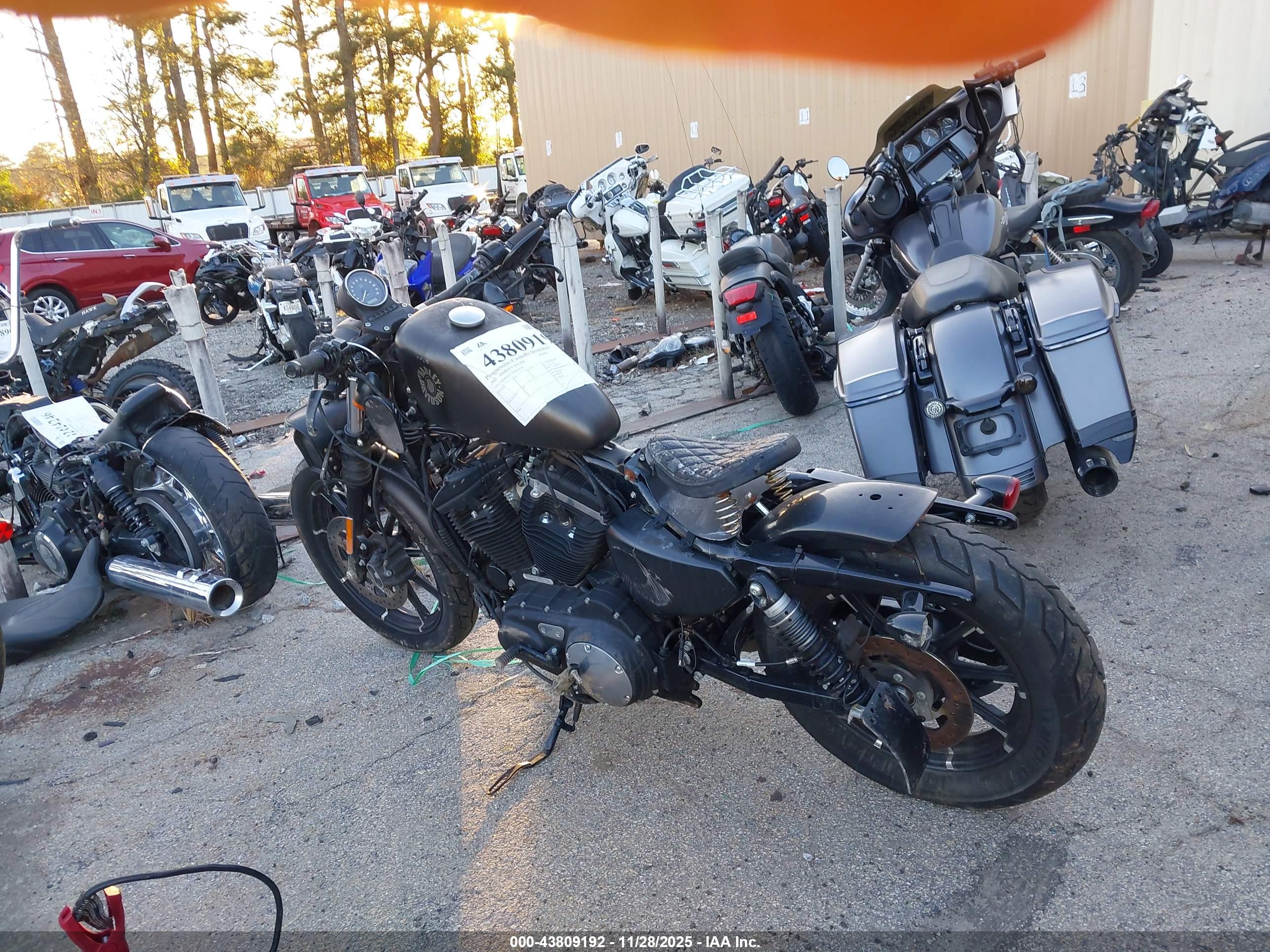 HARLEY-DAVIDSON XL883 image 3