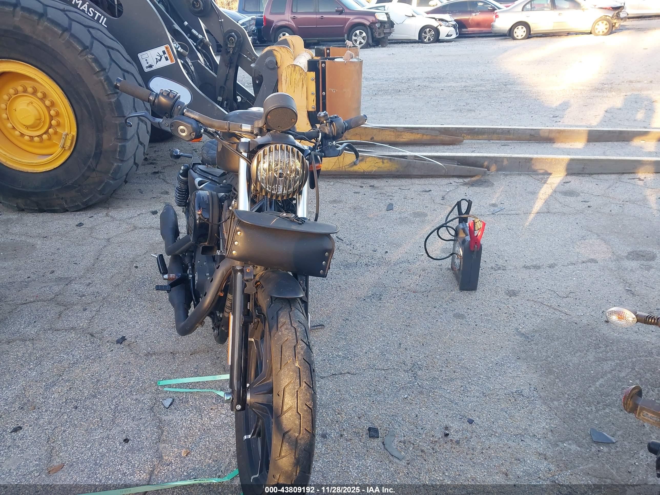 HARLEY-DAVIDSON XL883 image 5