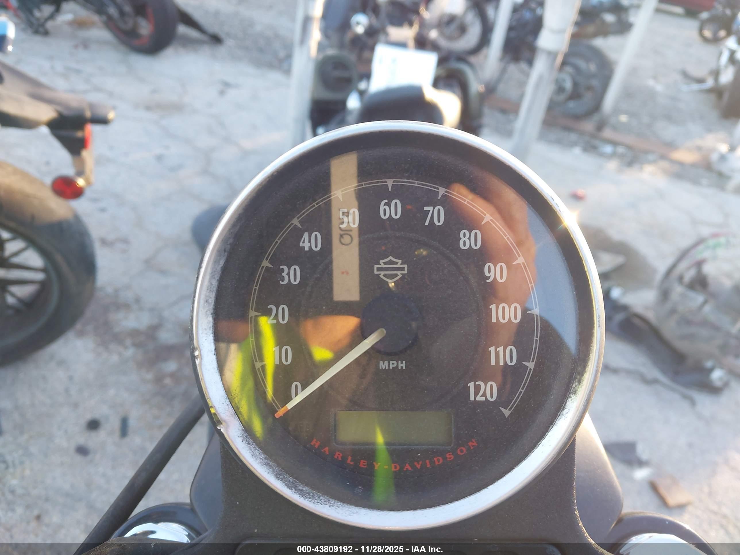 HARLEY-DAVIDSON XL883 image 7