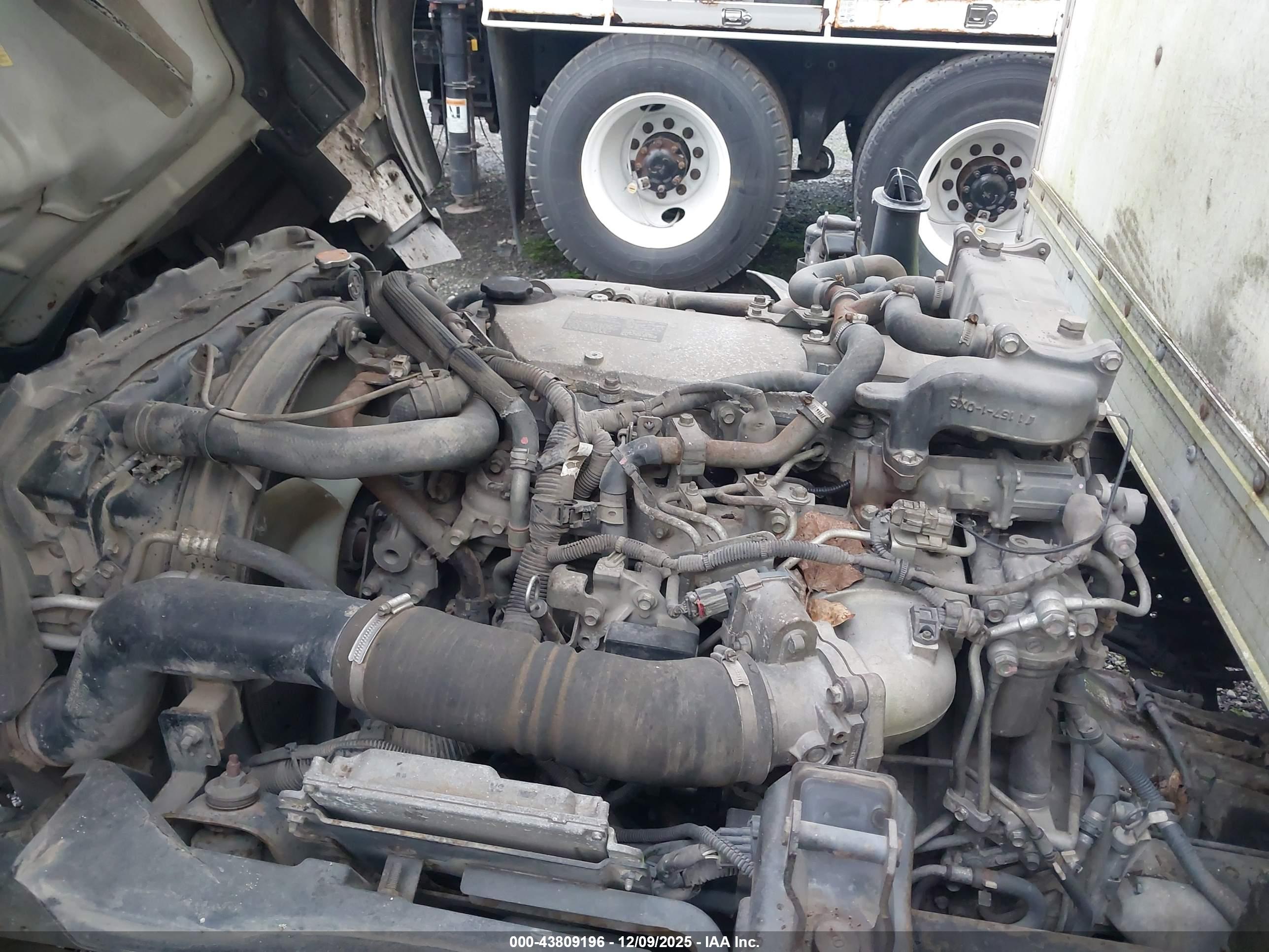 ISUZU NPR image 10
