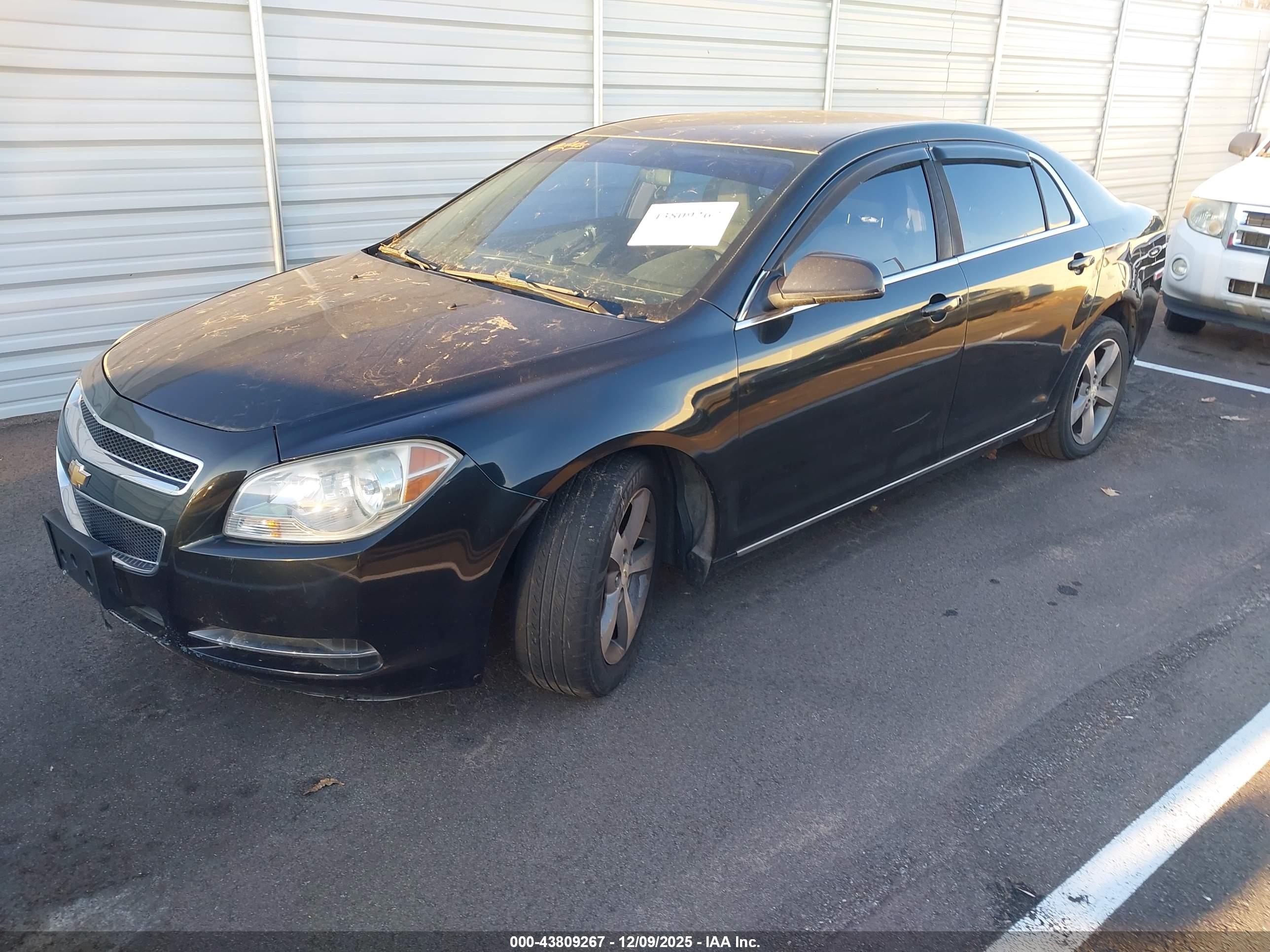CHEVROLET MALIBU image 2