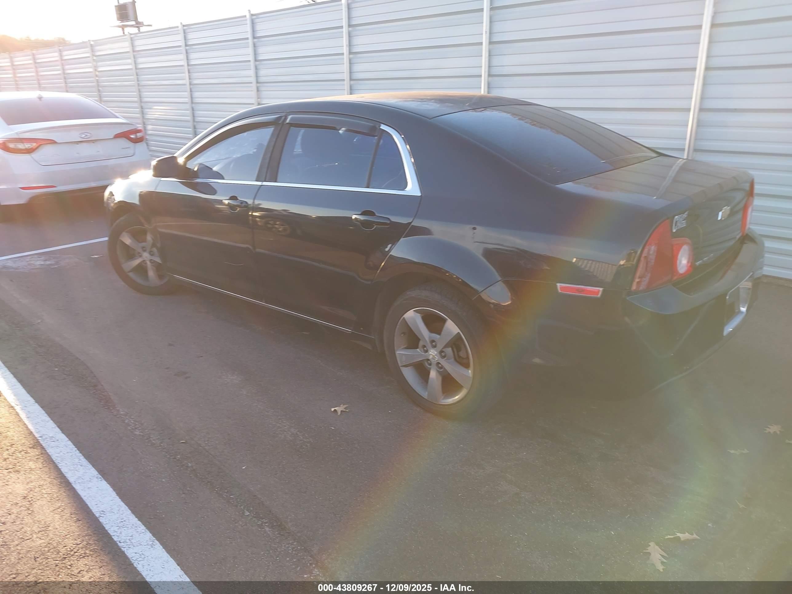 CHEVROLET MALIBU image 3