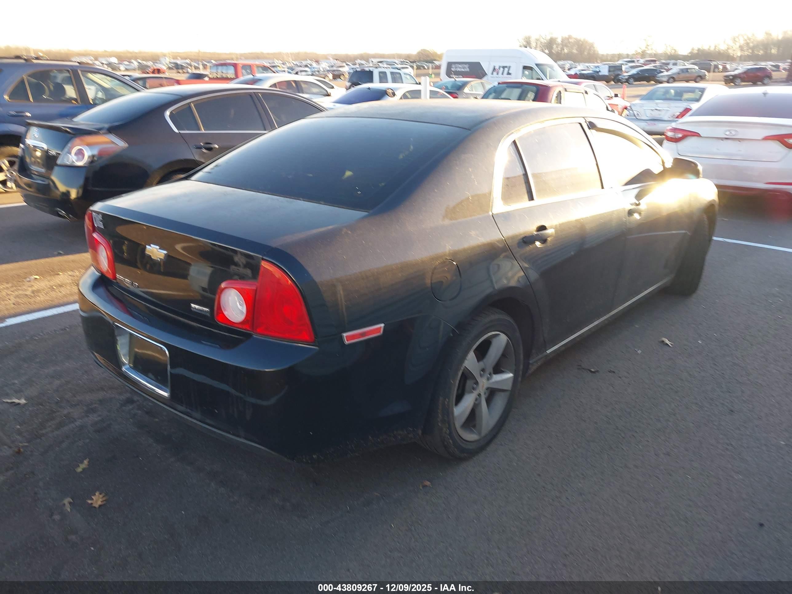 CHEVROLET MALIBU image 4
