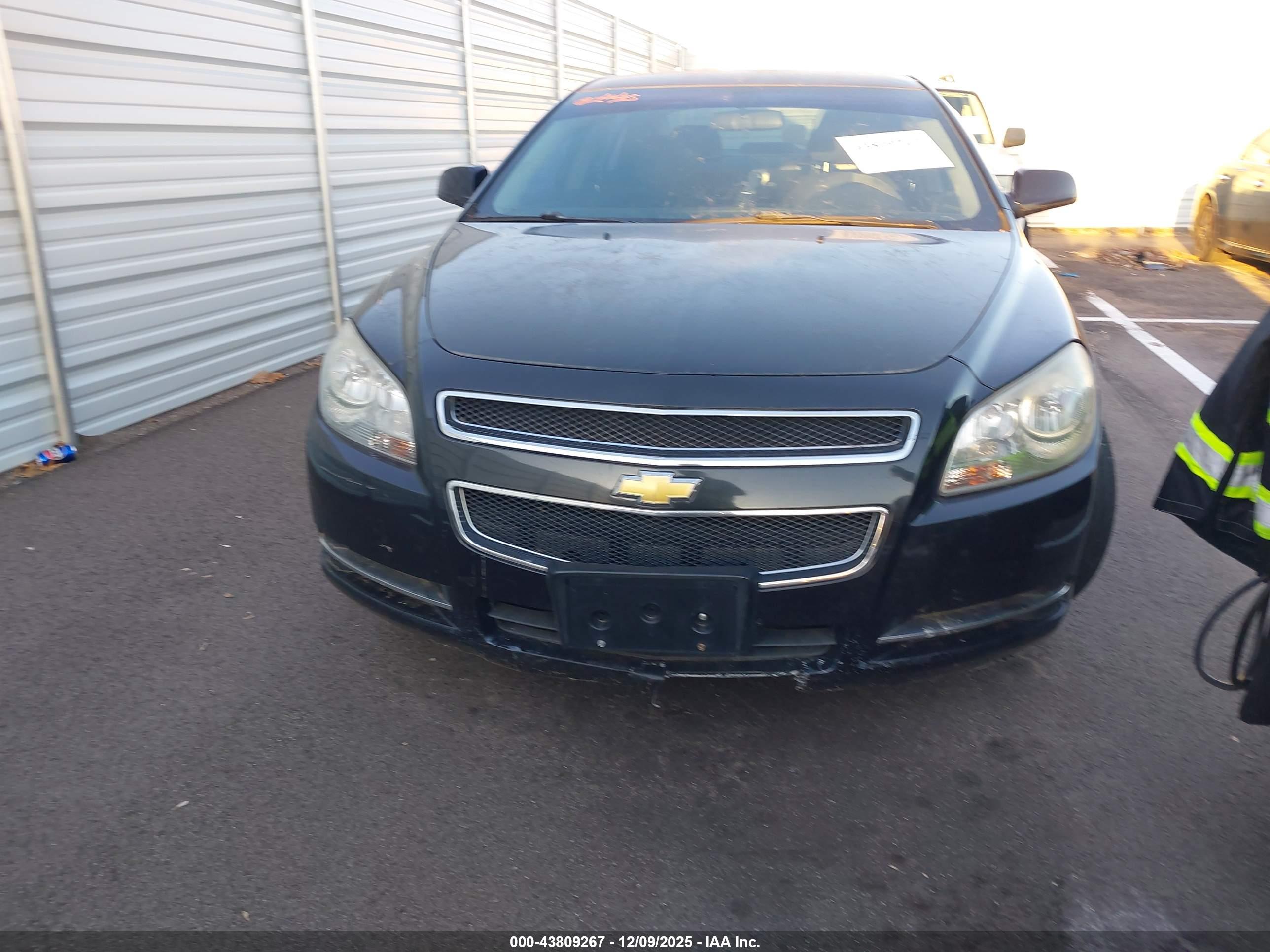 CHEVROLET MALIBU image 6