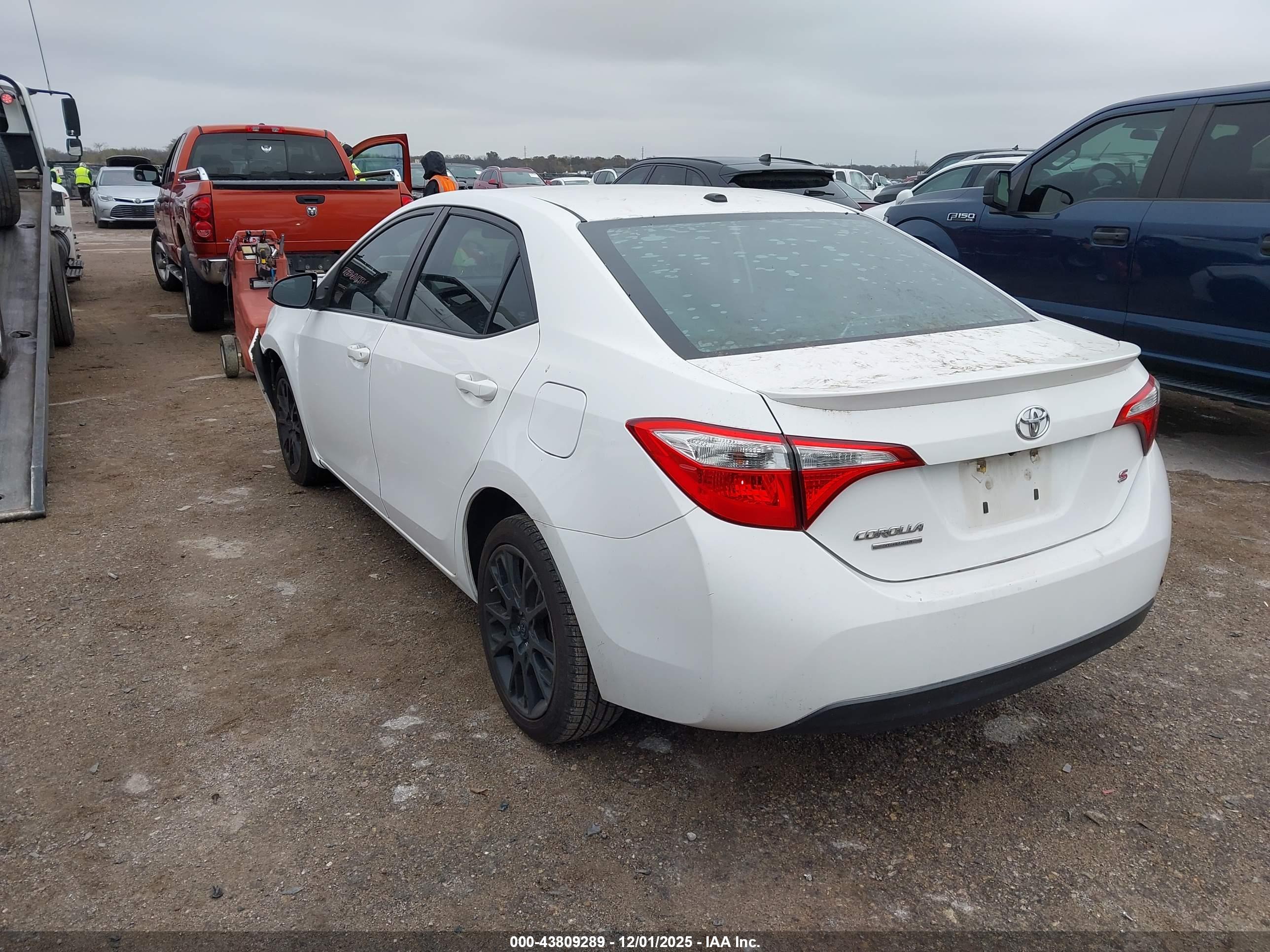 TOYOTA COROLLA image 3