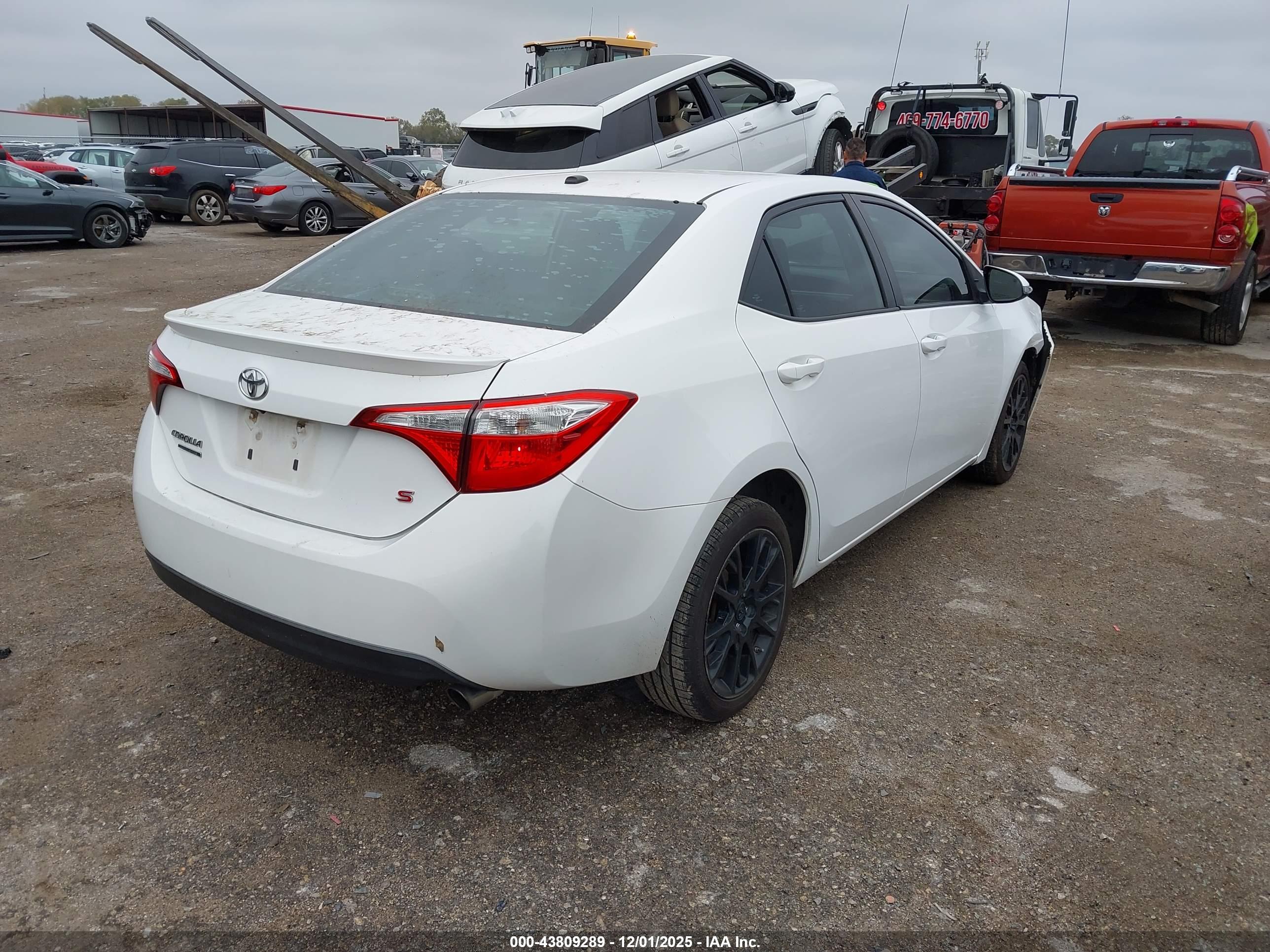 TOYOTA COROLLA image 4
