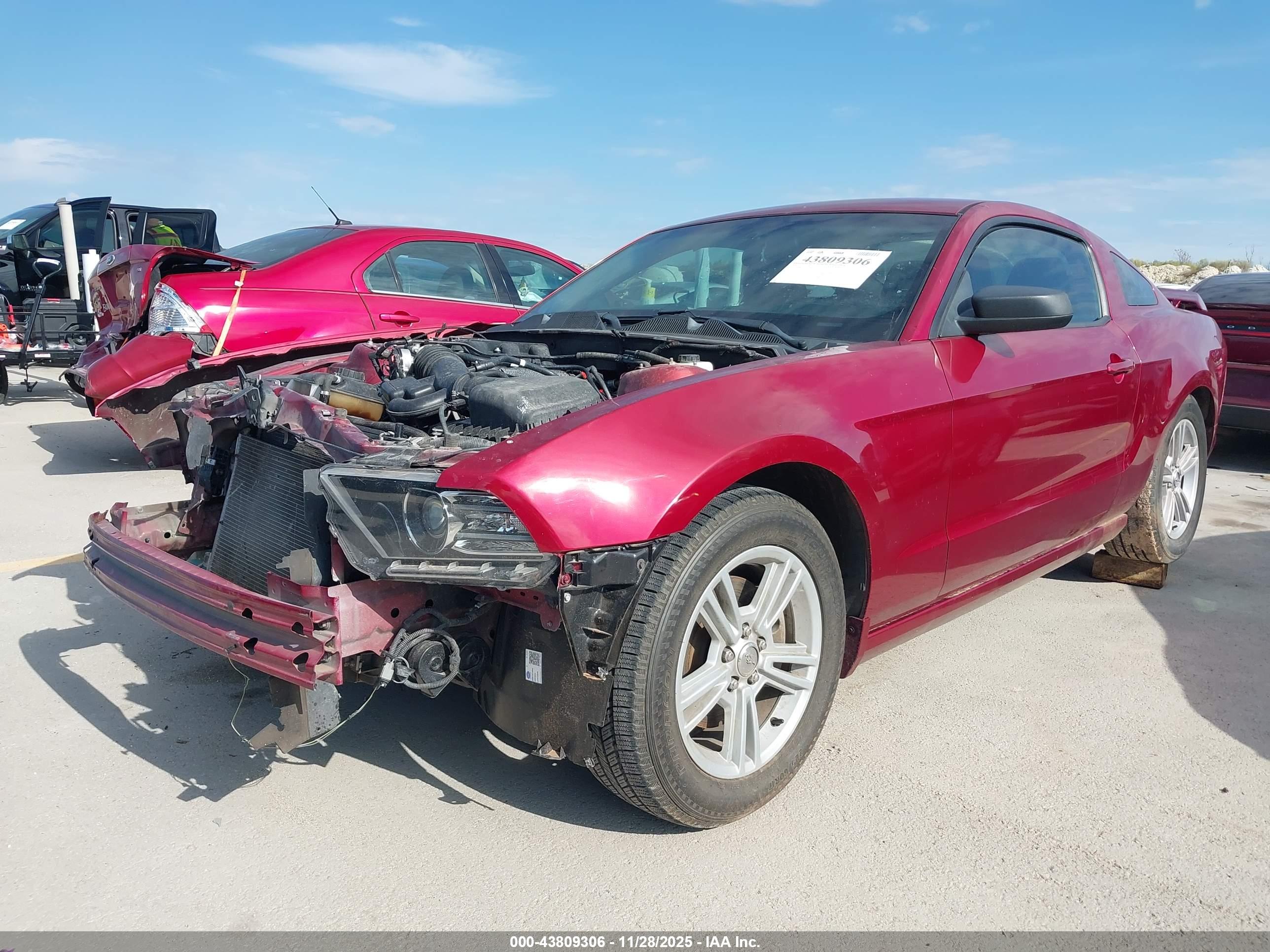 FORD MUSTANG image 2