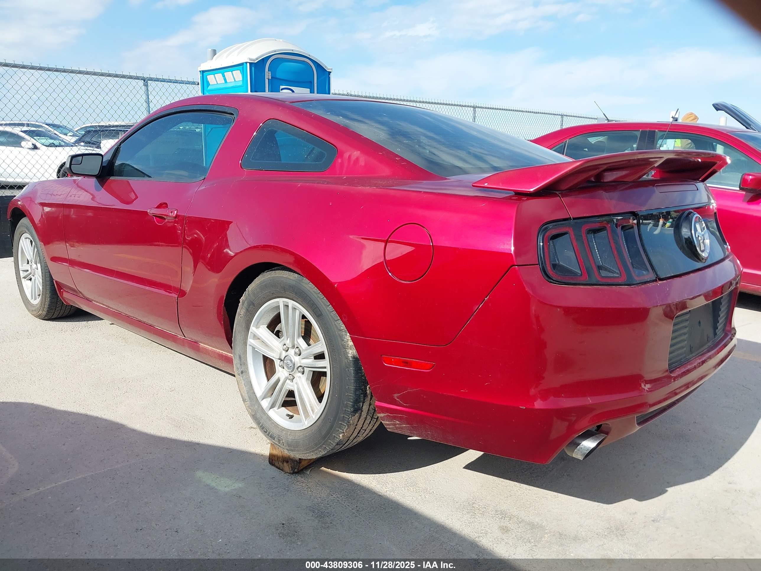 FORD MUSTANG image 3