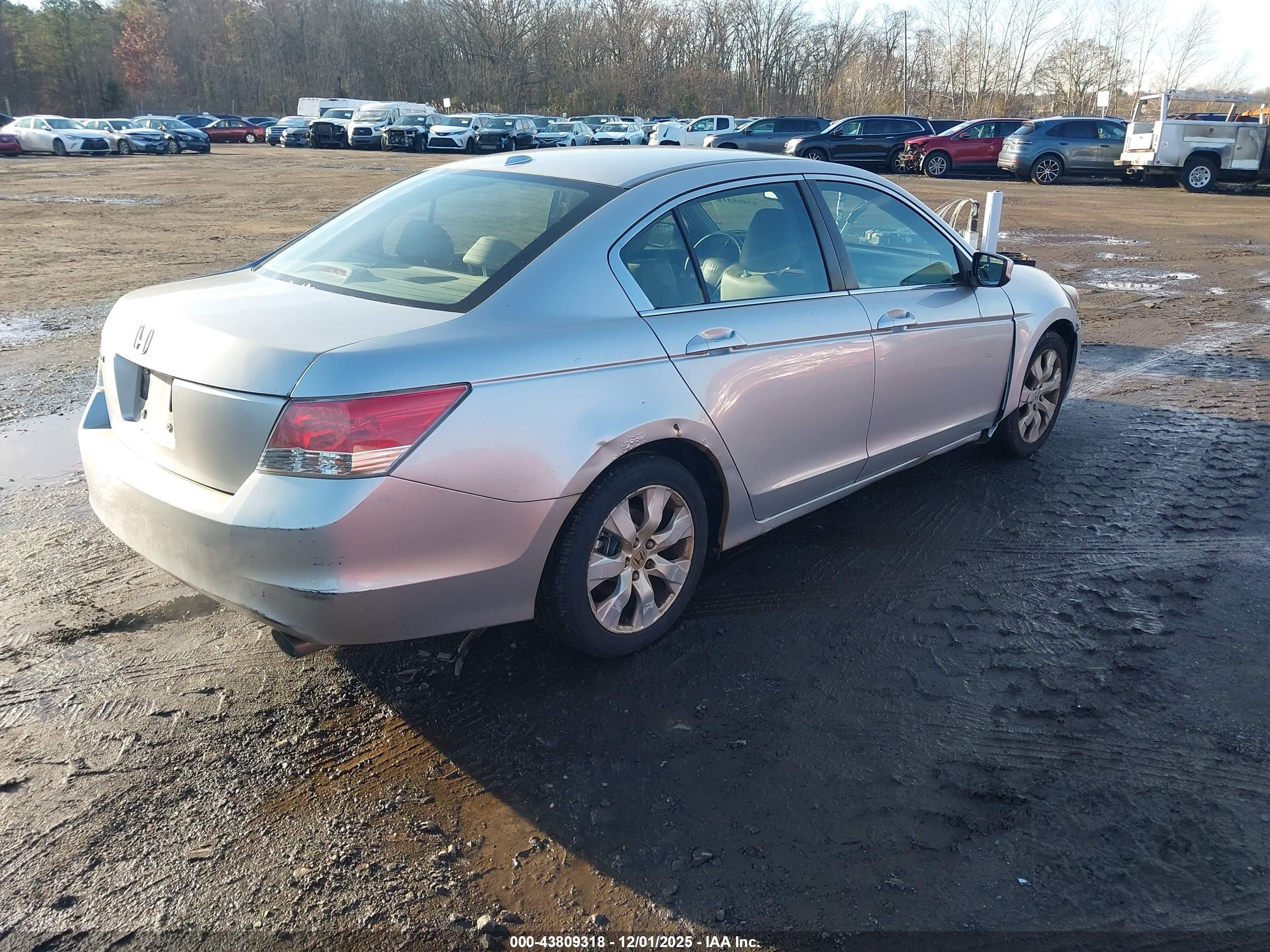 HONDA ACCORD image 4