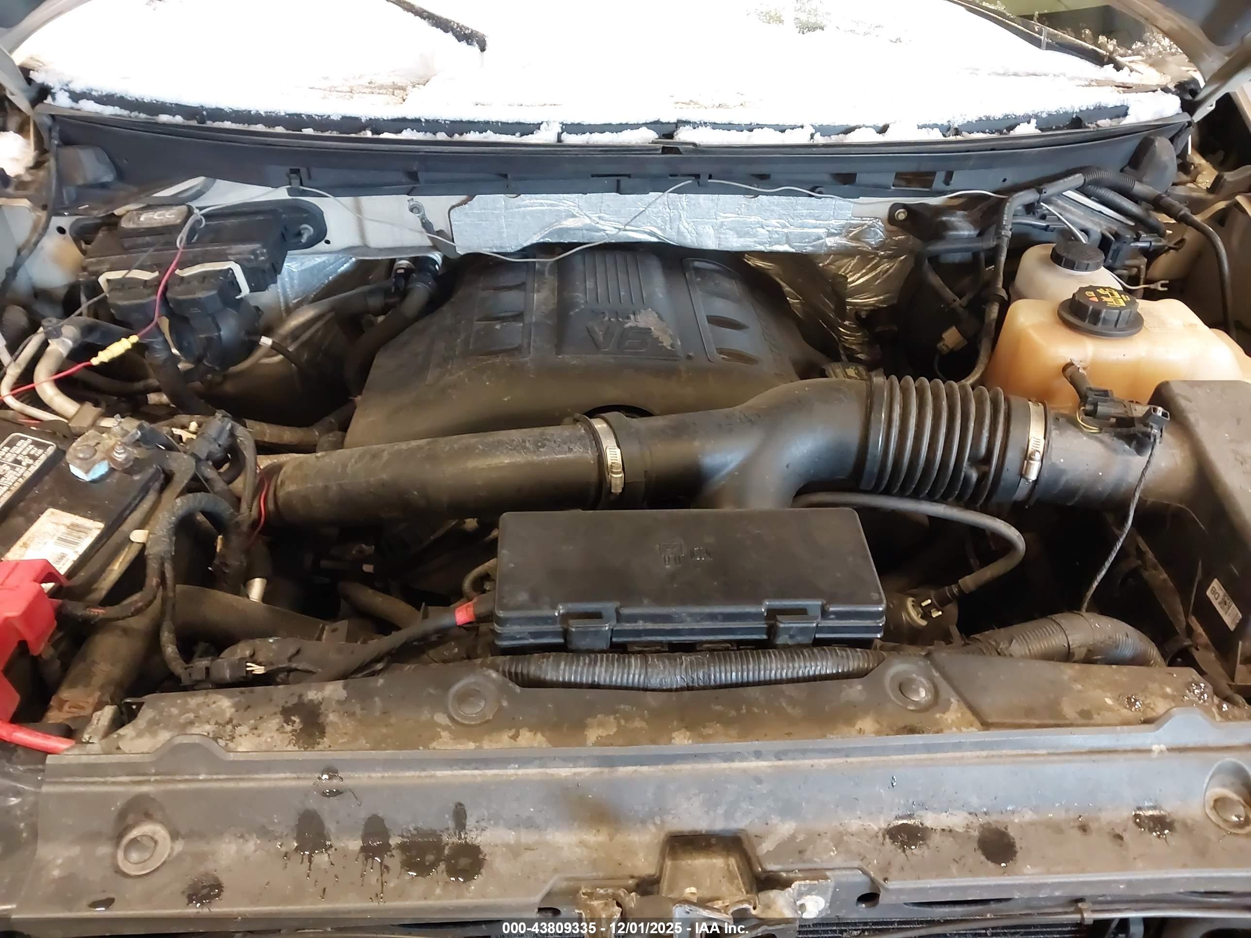 FORD F-150 image 10