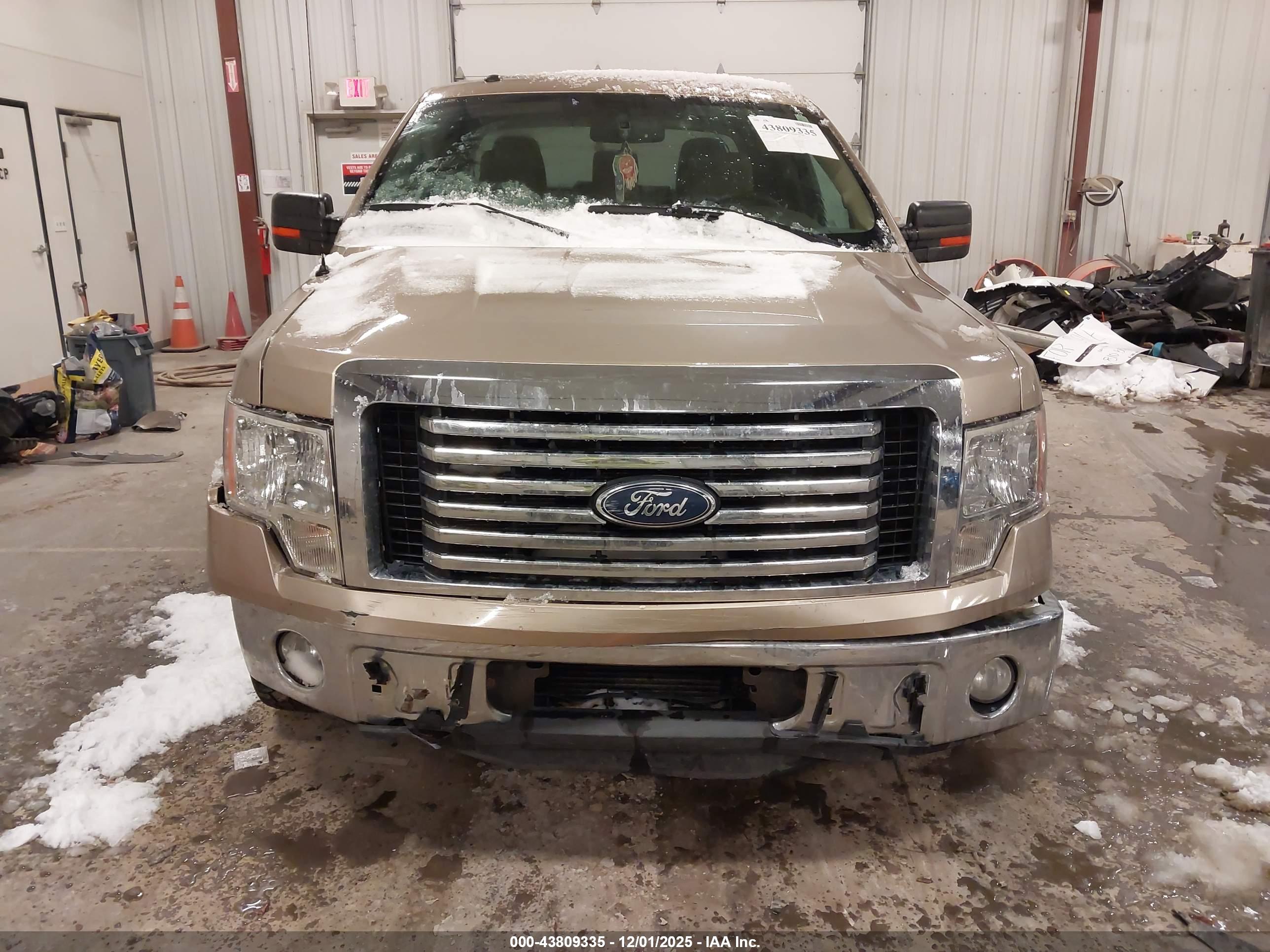 FORD F-150 image 6