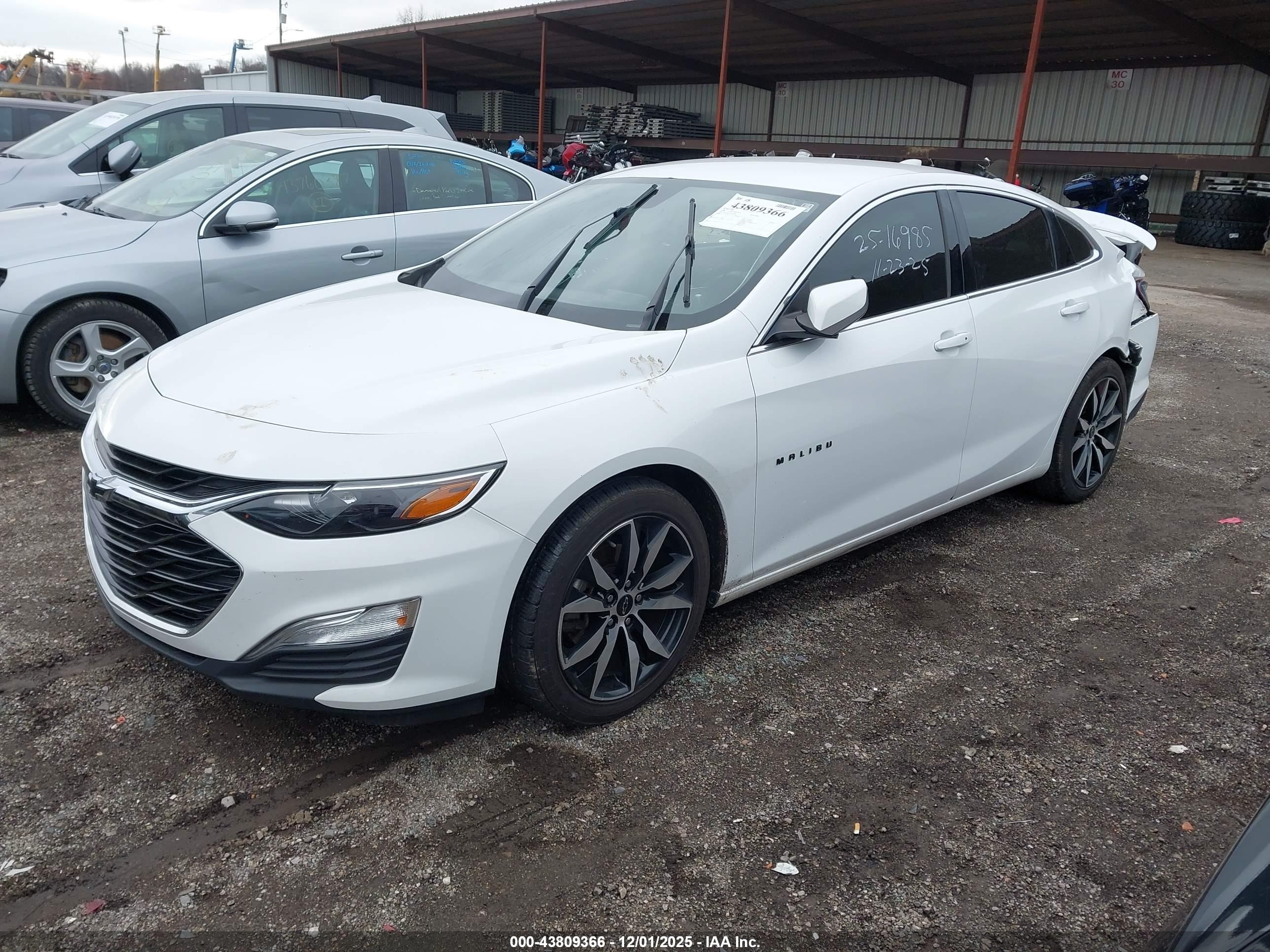CHEVROLET MALIBU image 2