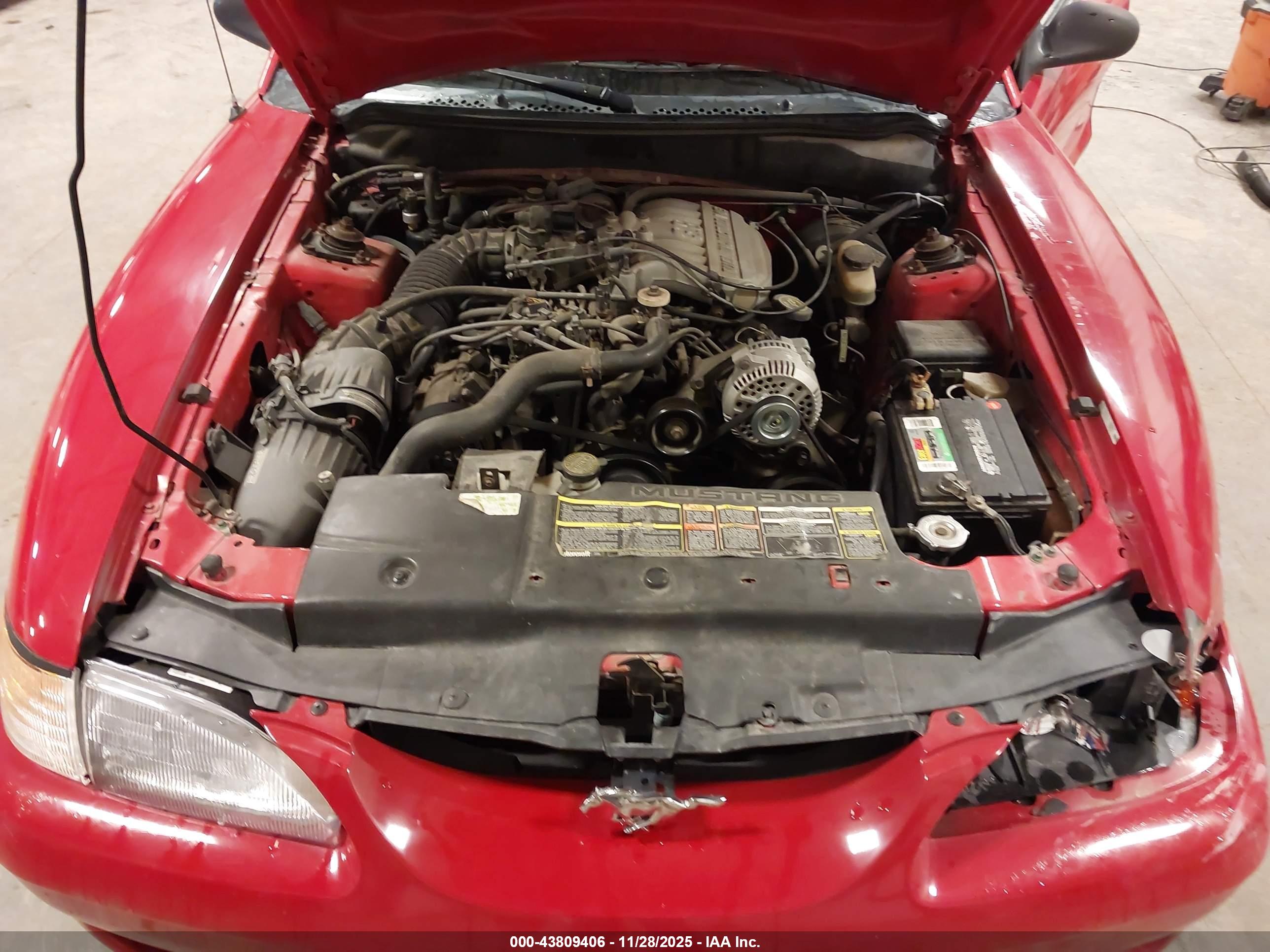 FORD MUSTANG image 10