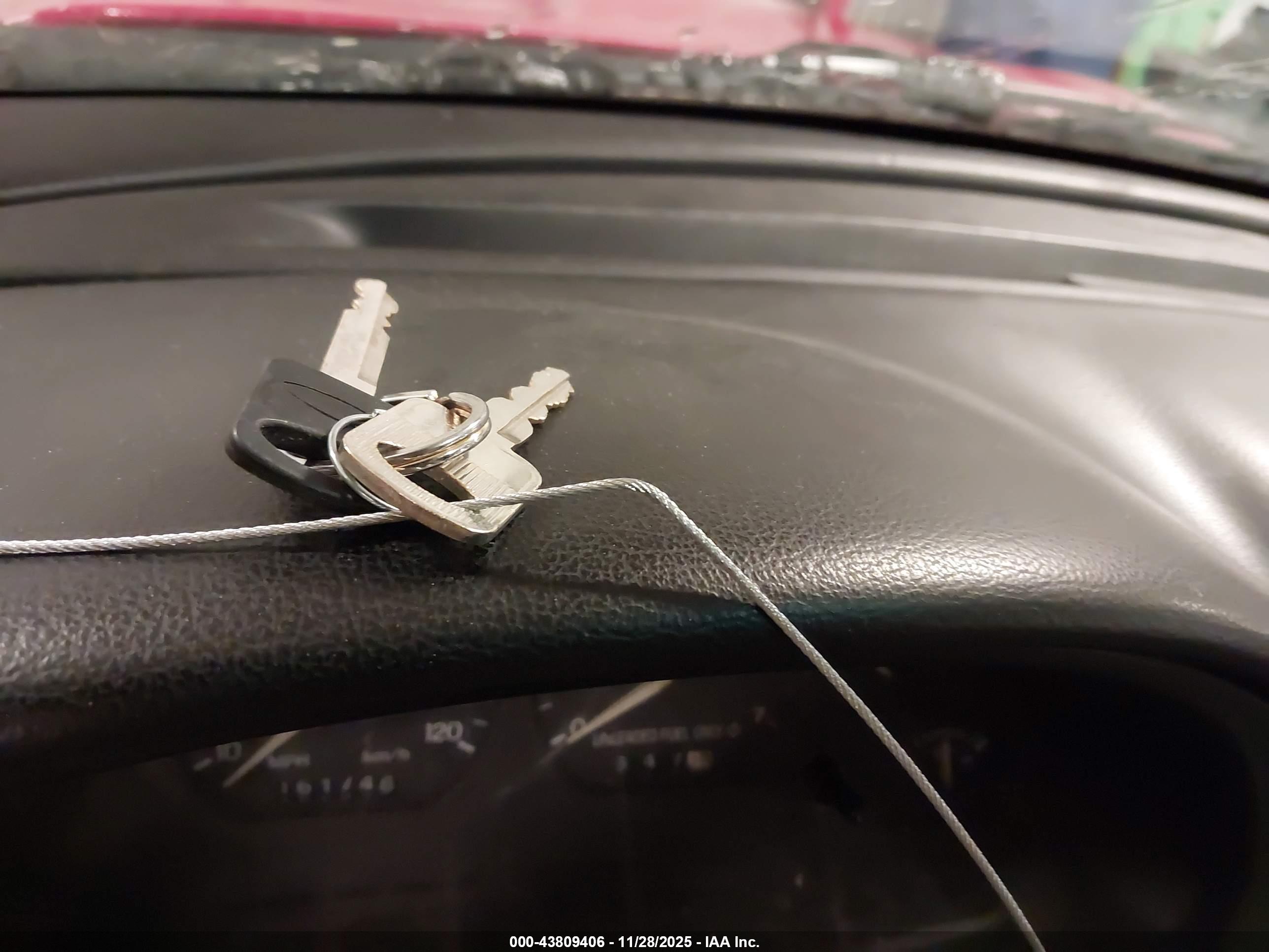 FORD MUSTANG image 11