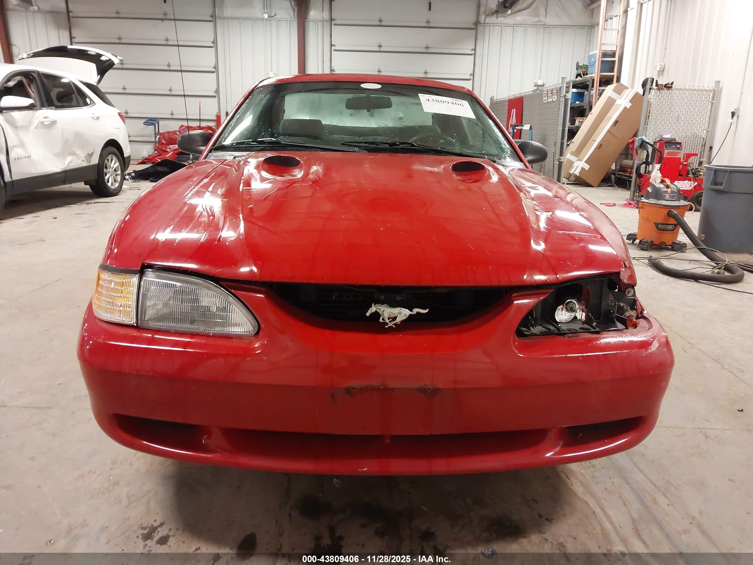 FORD MUSTANG image 6