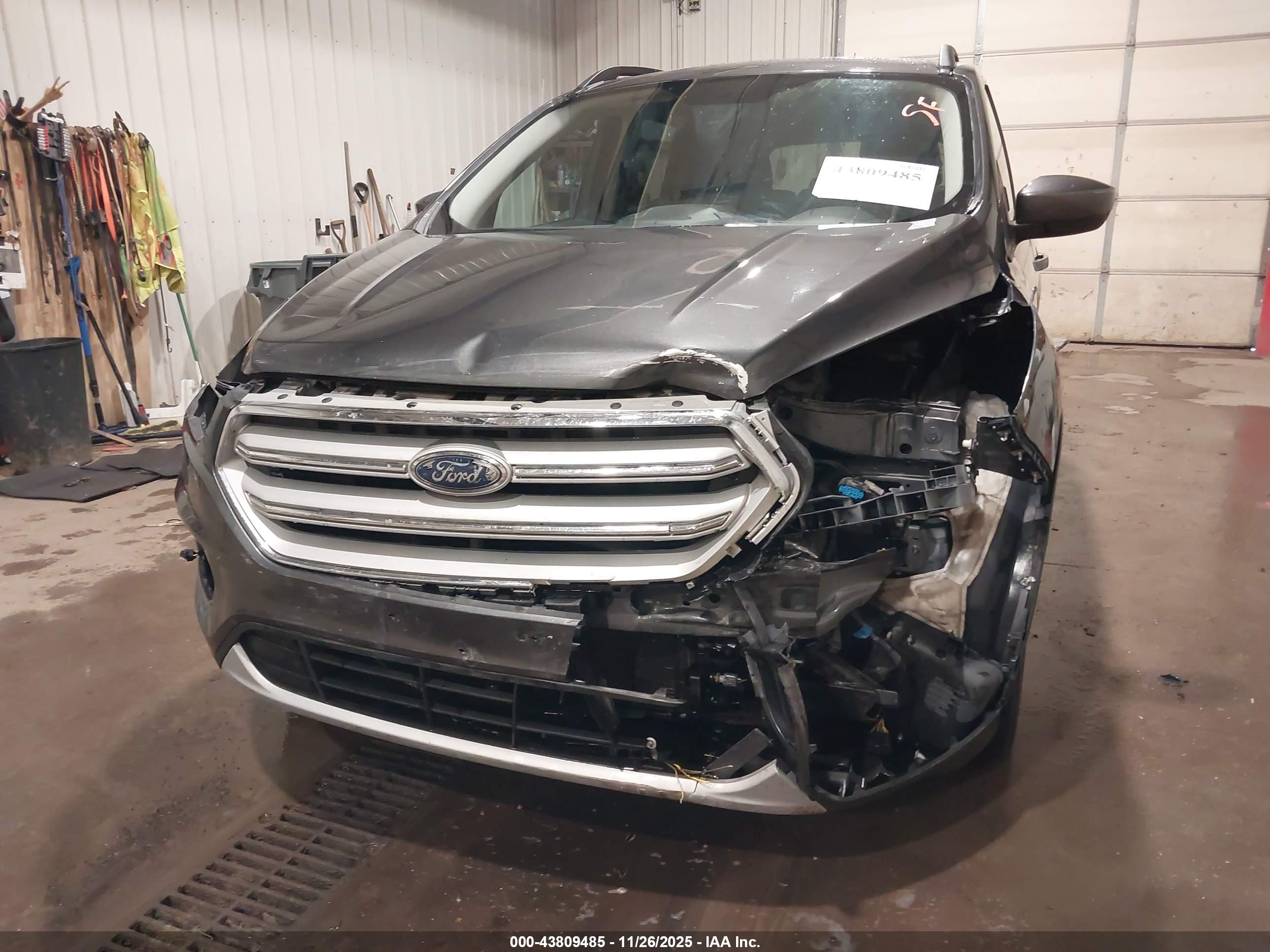 FORD ESCAPE image 6