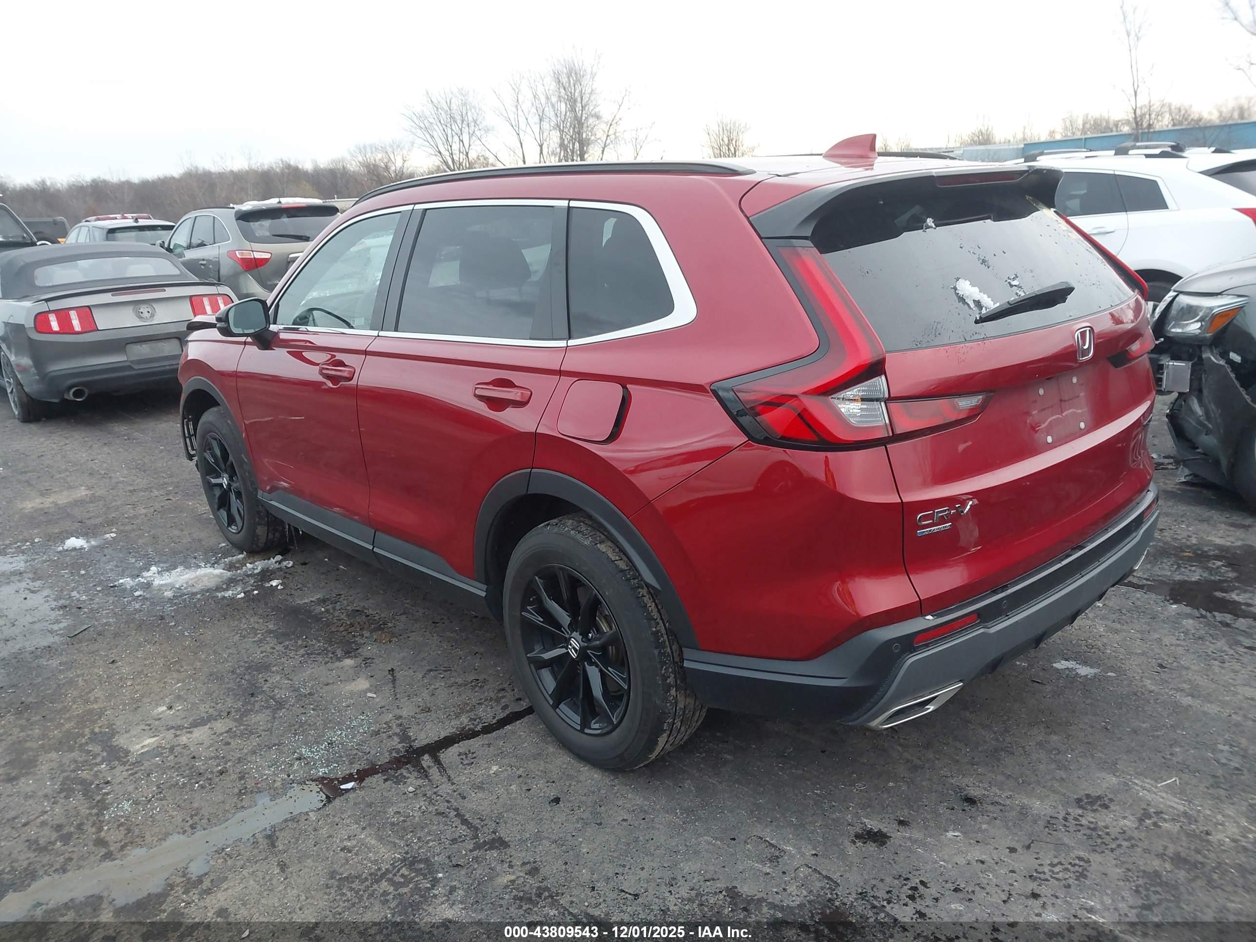 HONDA CR-V image 3