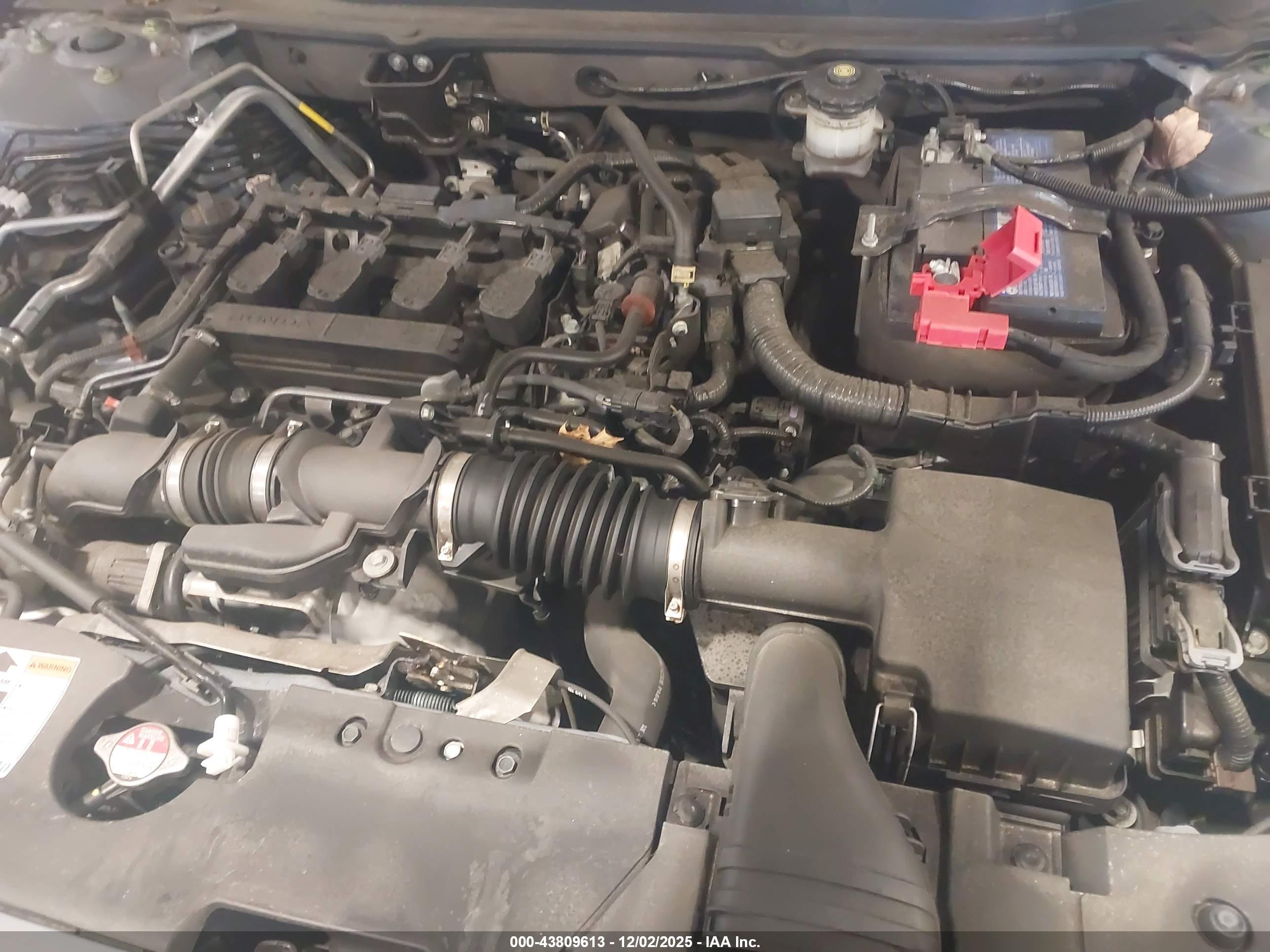 HONDA ACCORD image 10