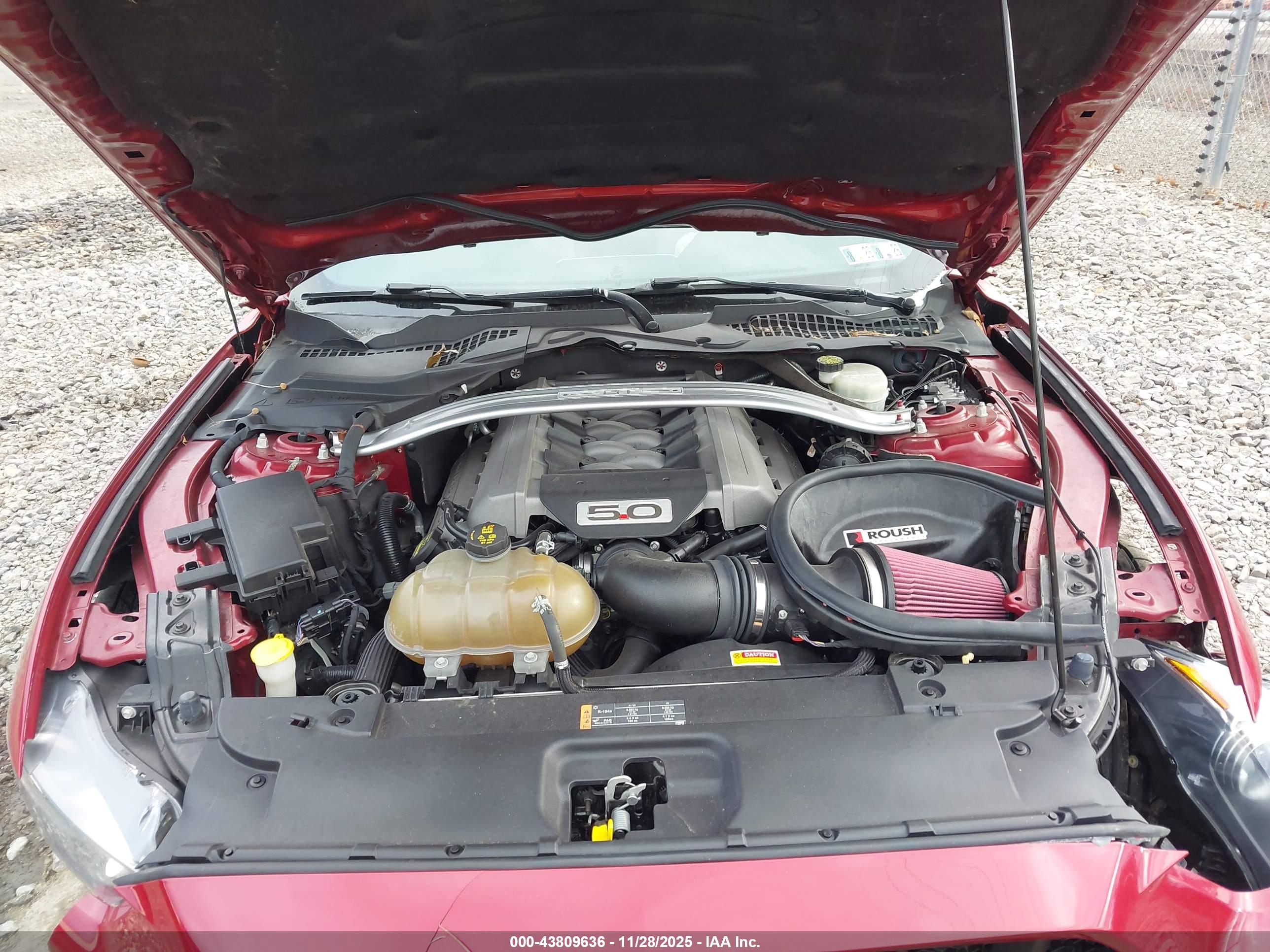 FORD MUSTANG image 10