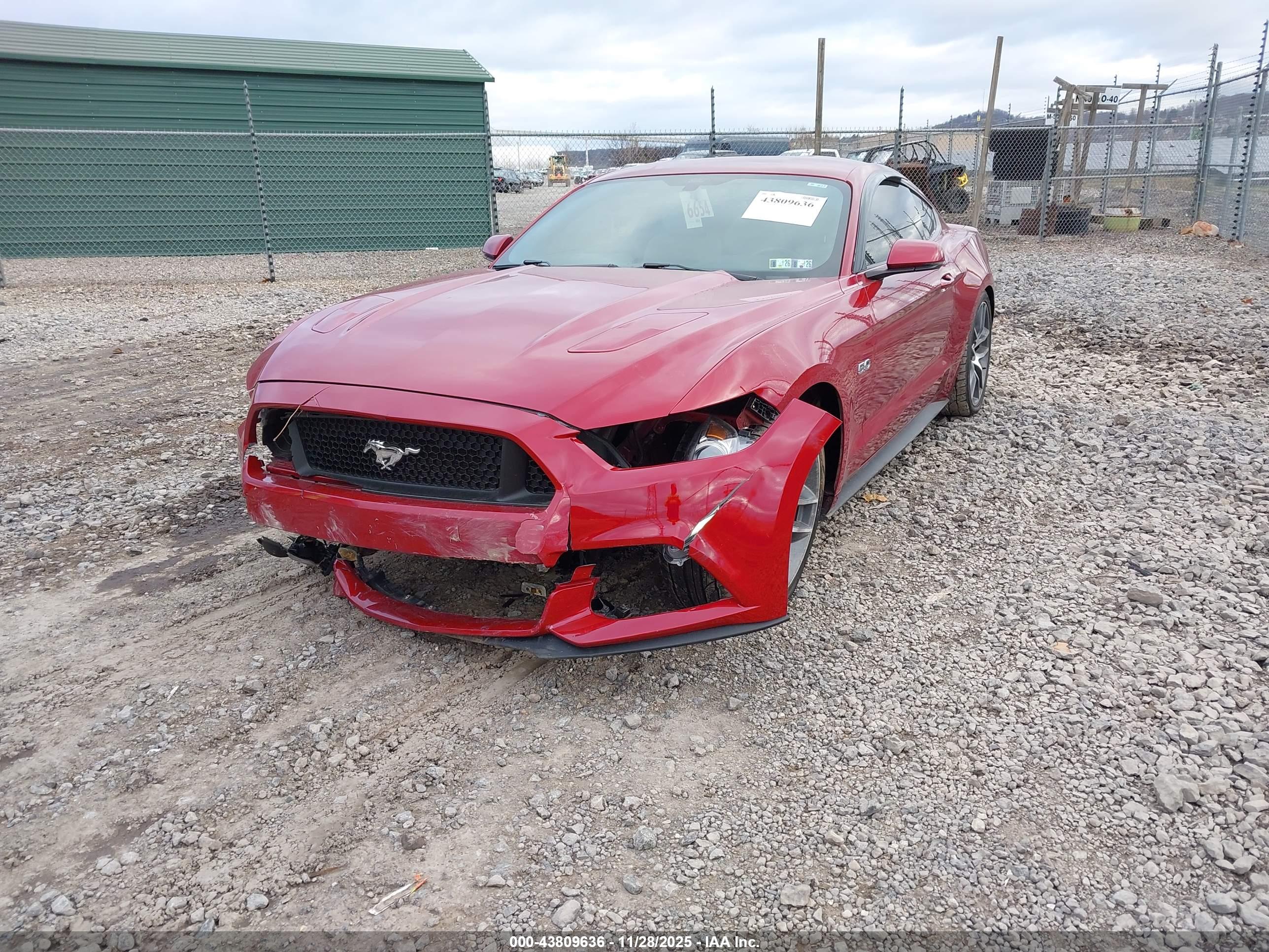 FORD MUSTANG image 2