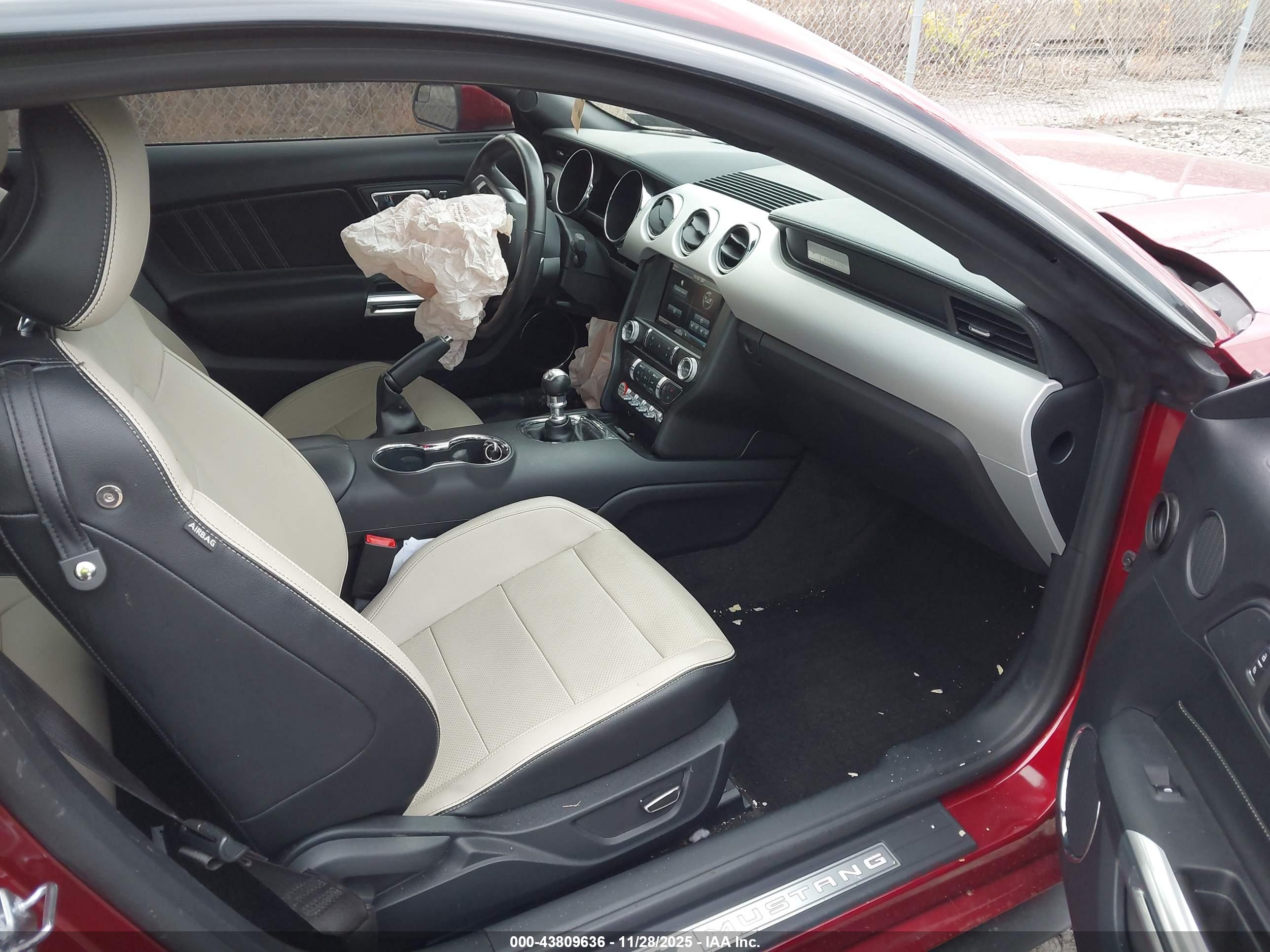 FORD MUSTANG image 5