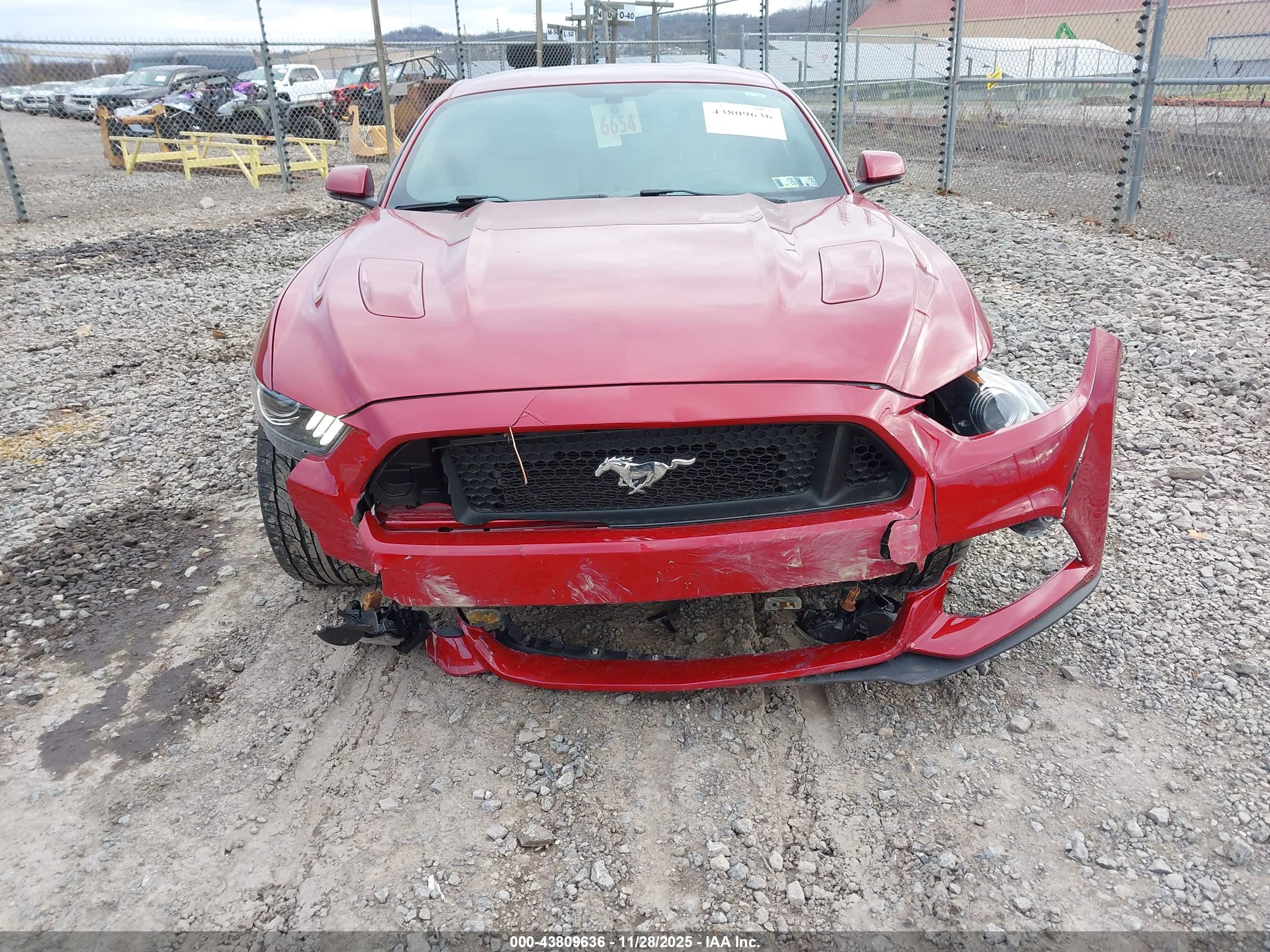 FORD MUSTANG image 6