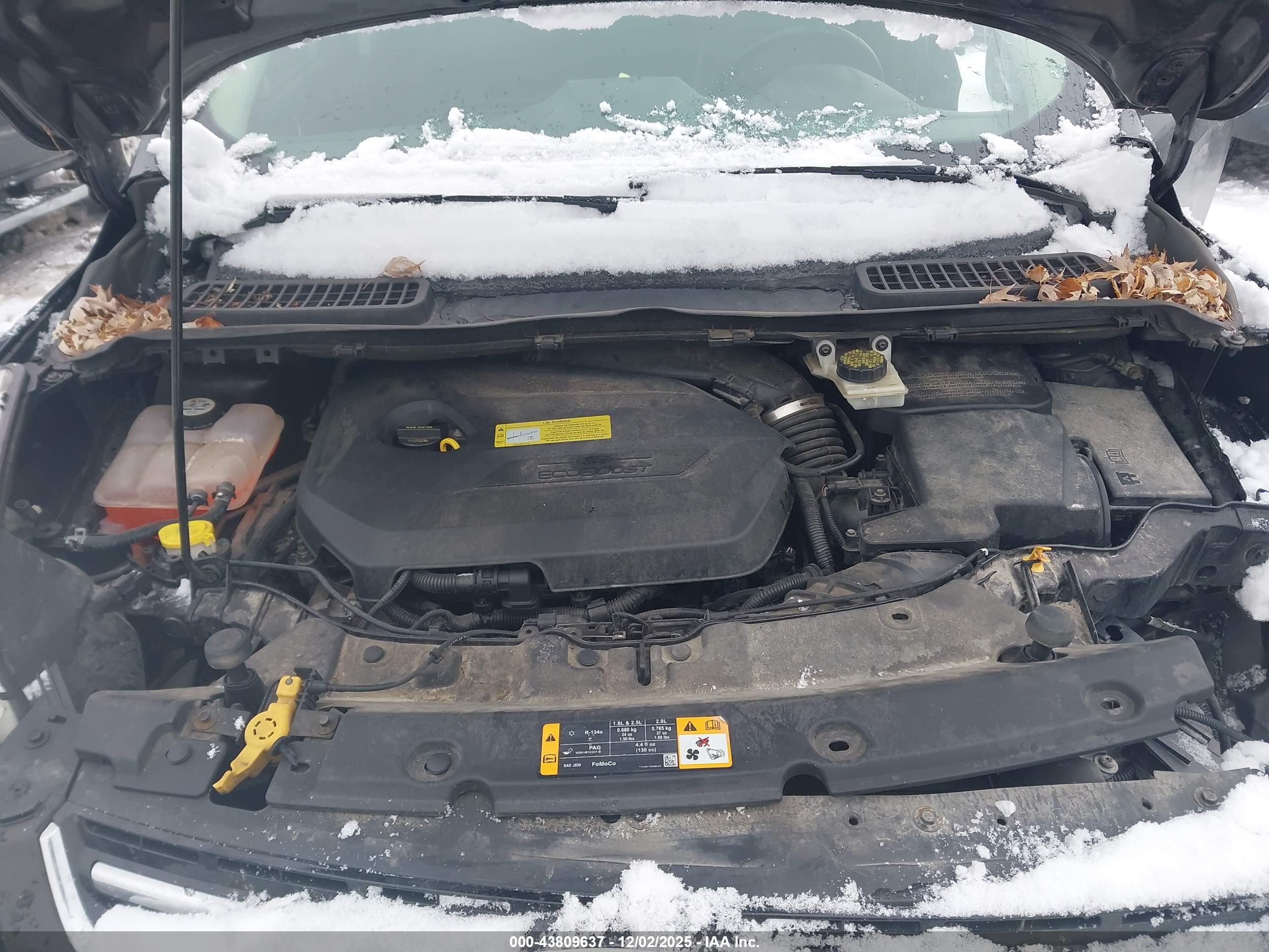 FORD ESCAPE image 10