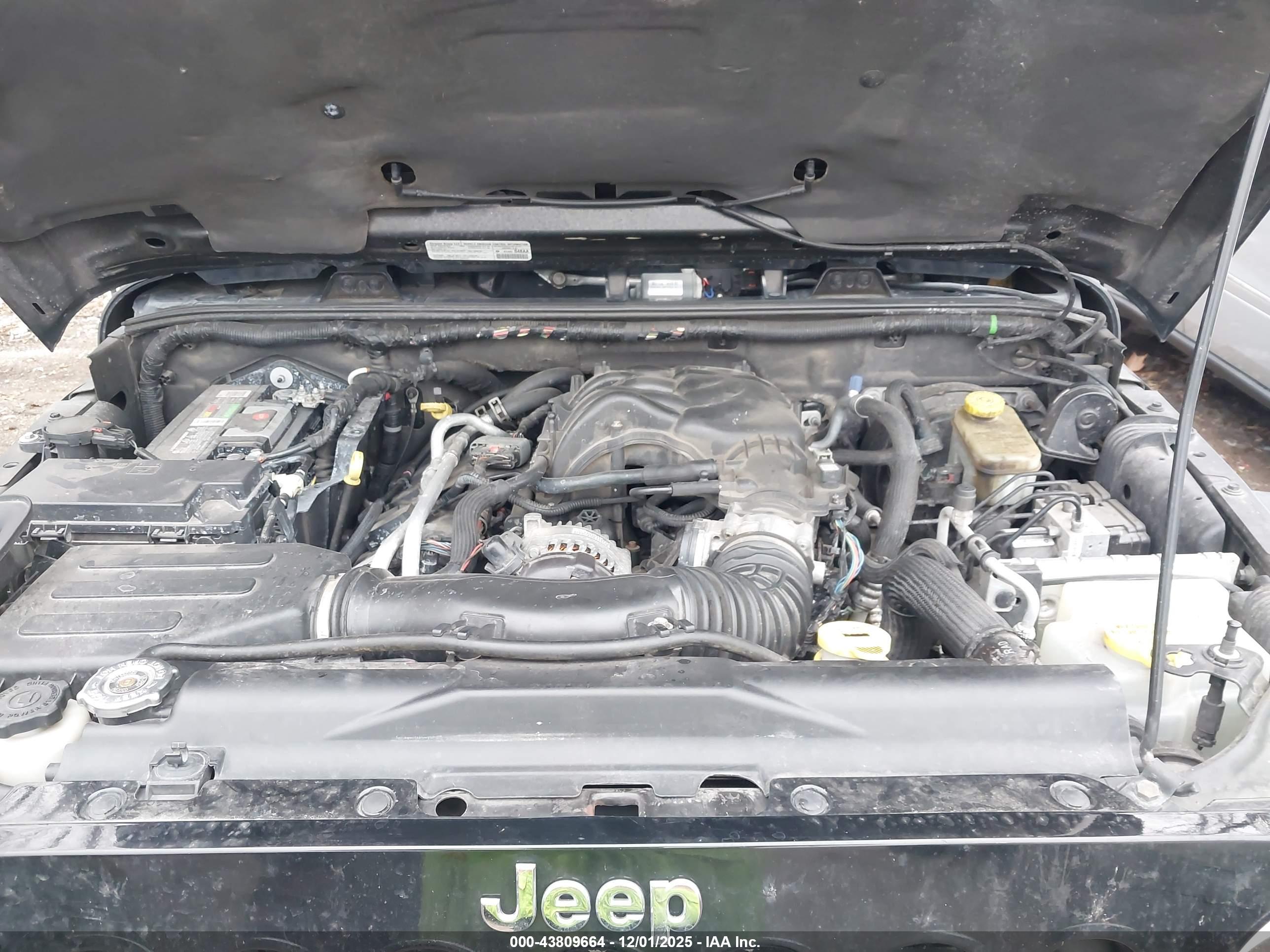 JEEP WRANGLER image 10