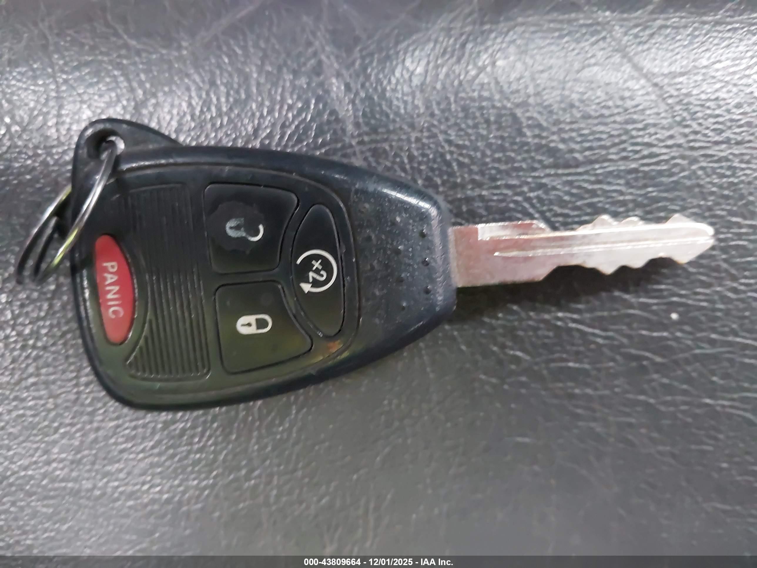 JEEP WRANGLER image 11