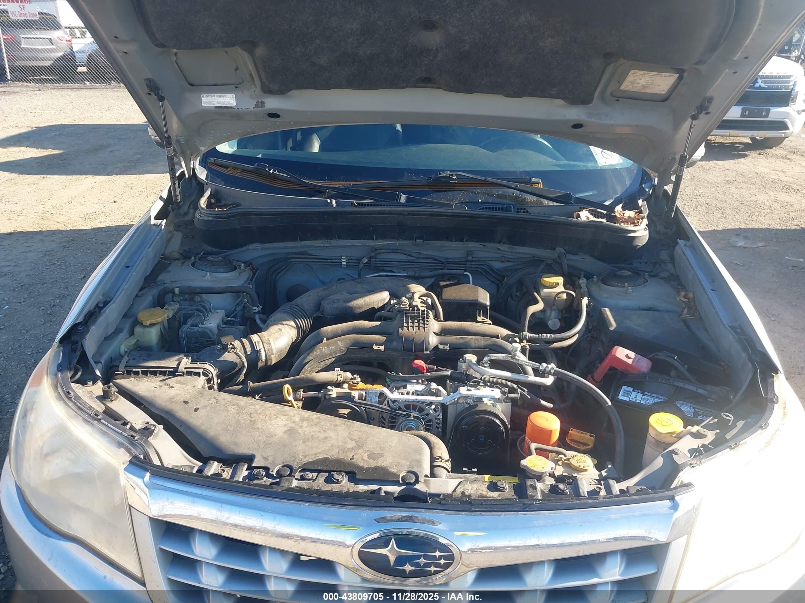SUBARU FORESTER image 10