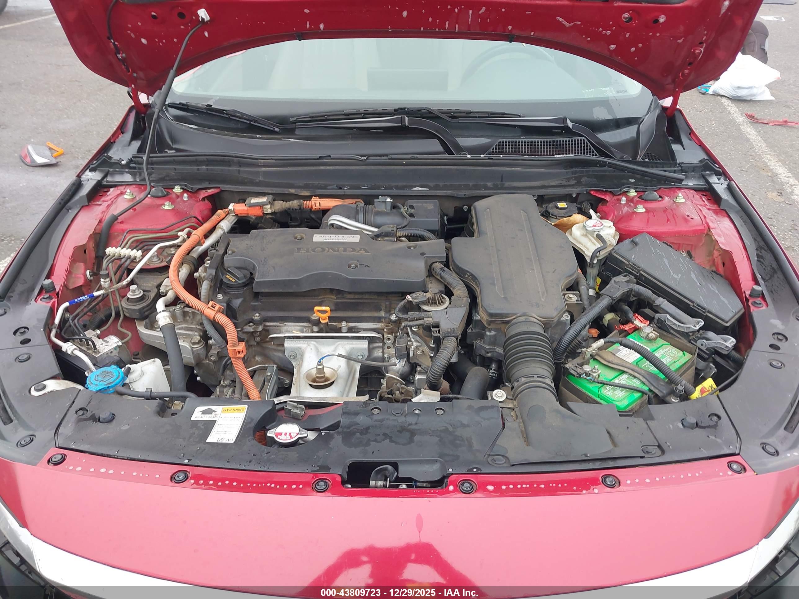 HONDA ACCORD image 10