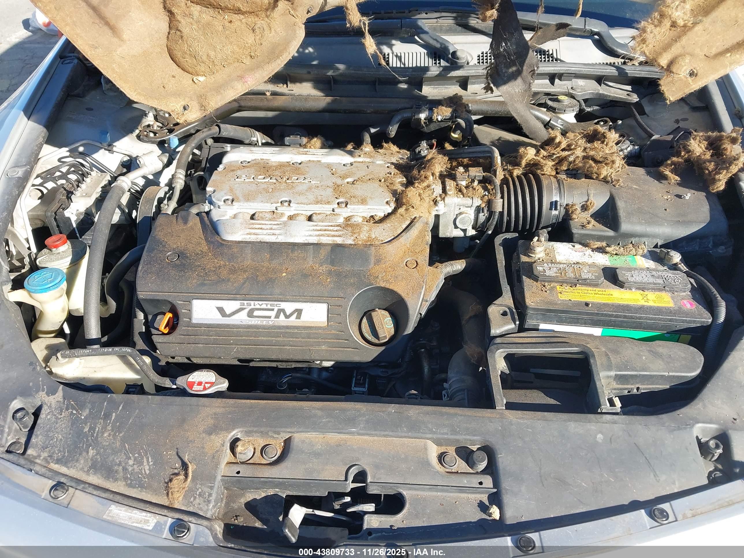 HONDA ACCORD image 10