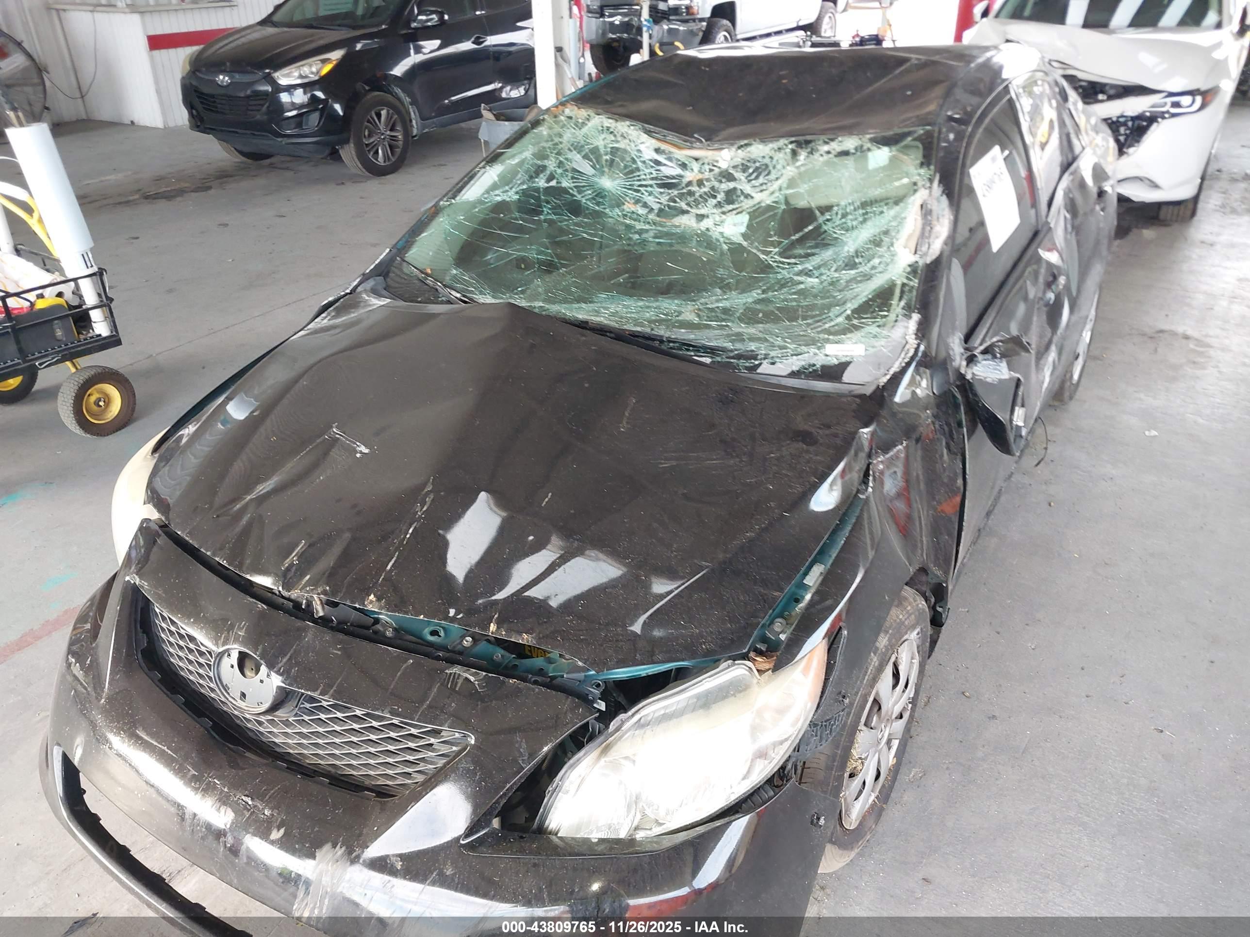 TOYOTA COROLLA image 6