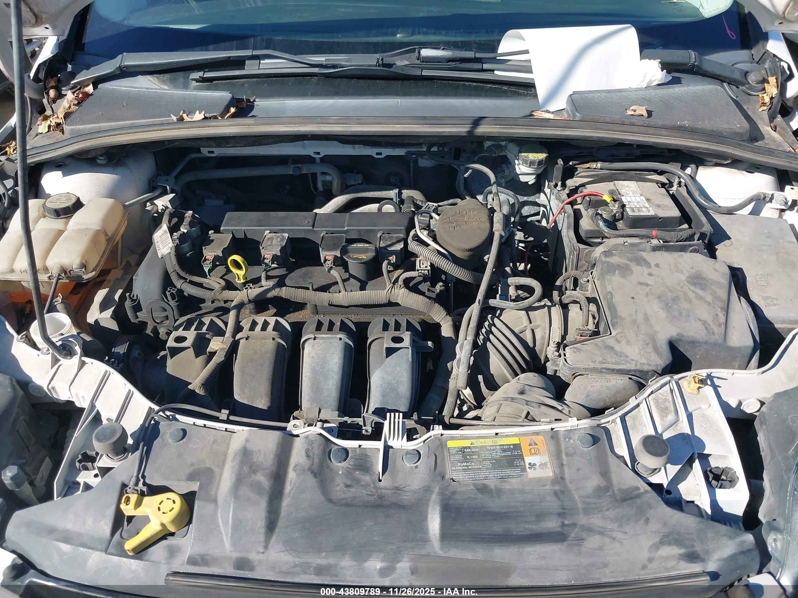 FORD FOCUS image 10